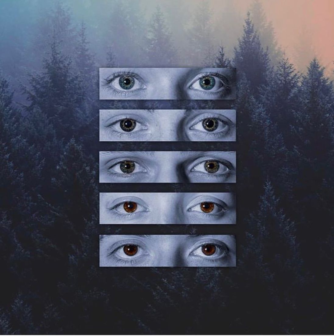 why don't we's song “chills” album cover. Wdw, Chill wallpaper