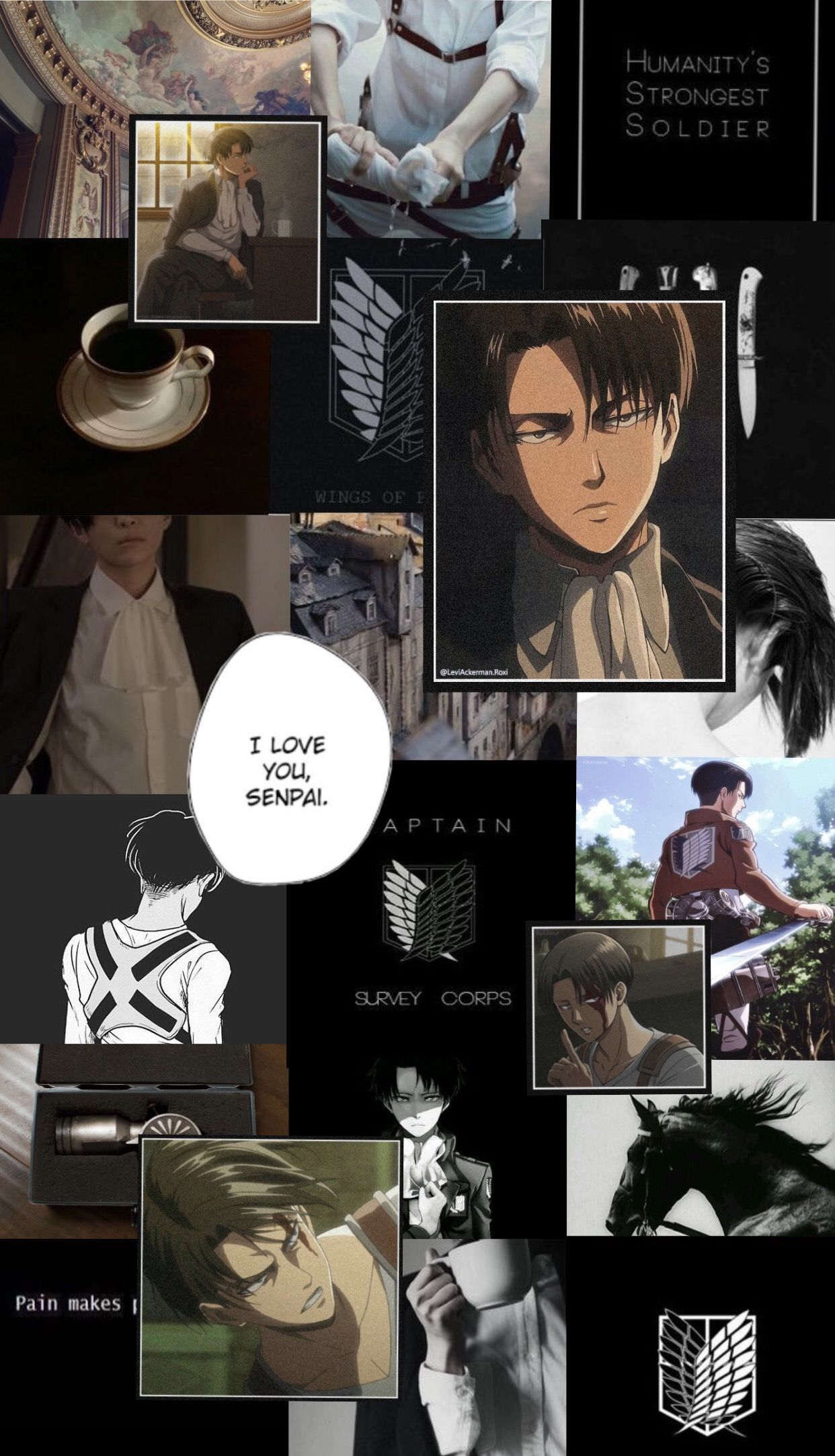 79 Levi Ackerman Wallpapers for iPhone and Android by Carla Carrillo