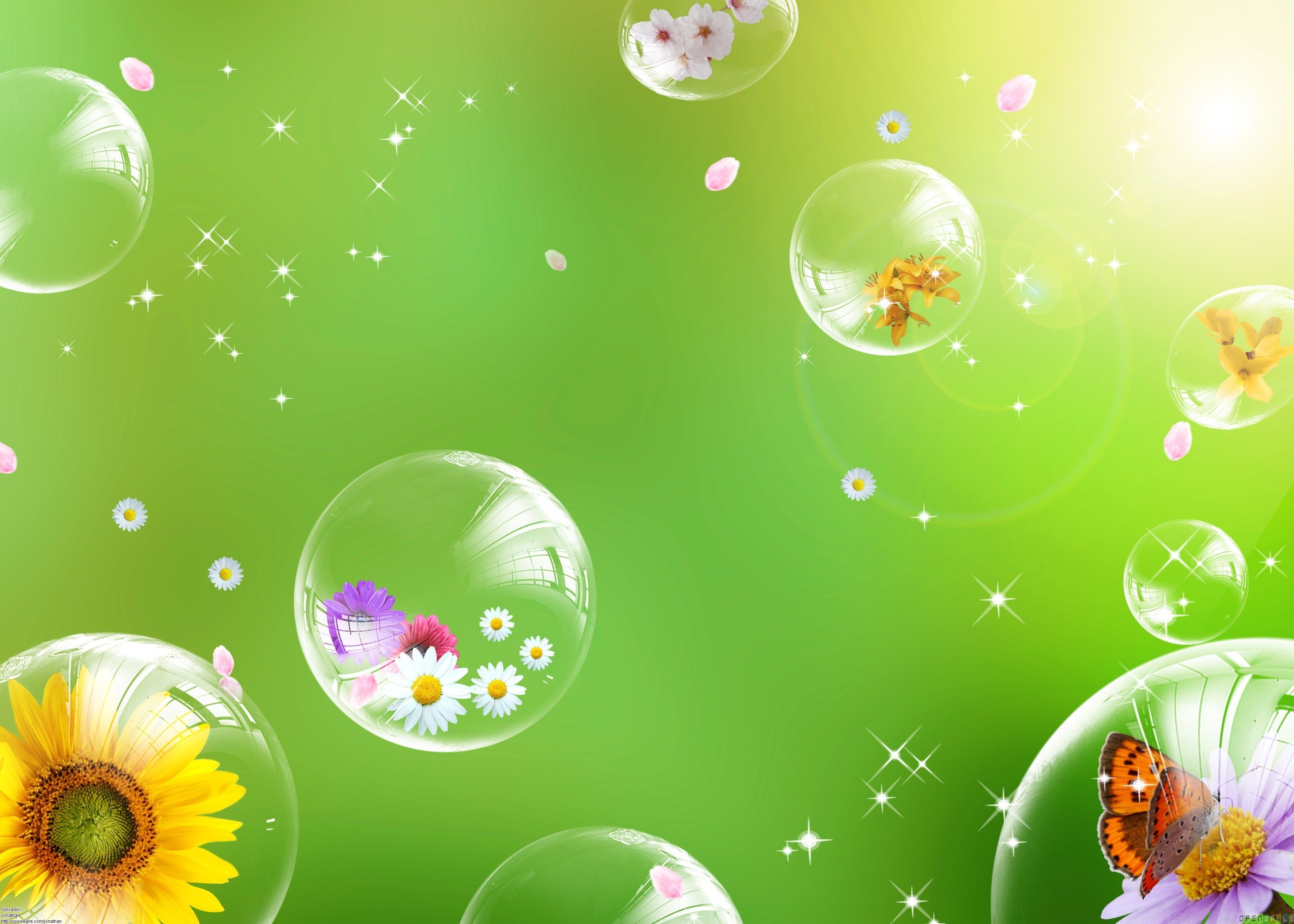 bubbles. Flowers in bubbles wallpaper Walls Very