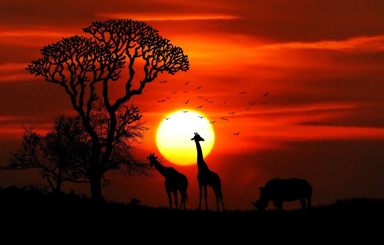 Wallpaper Nature, Sunset, Animal, Savannah image for desktop, section природа