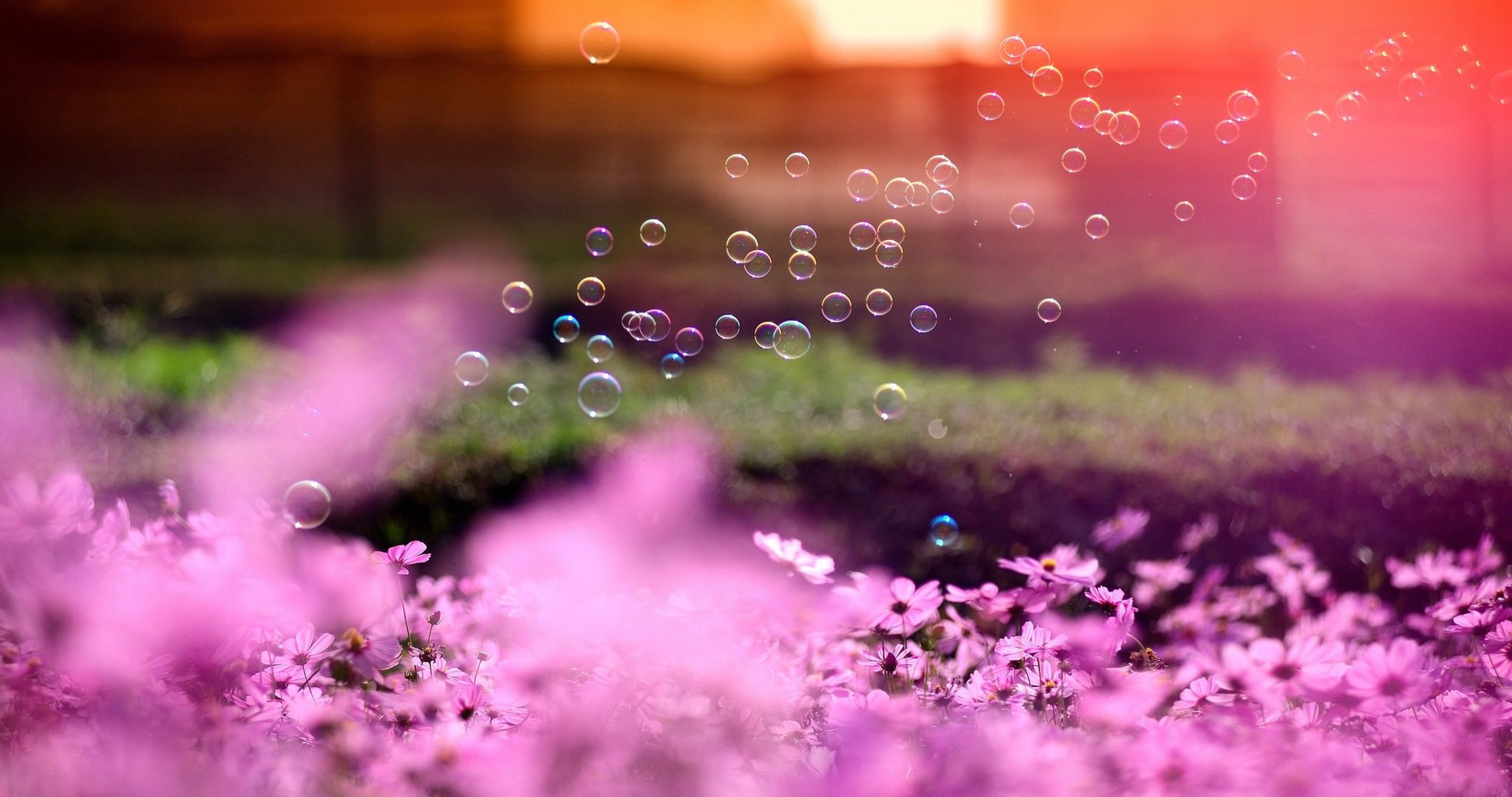 pink flowers and bubbles 4k ultra HD wallpaper High quality walls