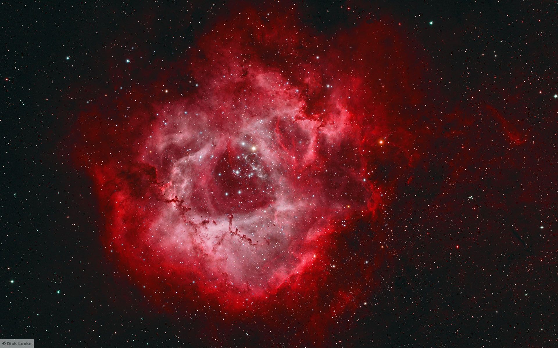 Rosette Nebula Picture: Astrophotography Image