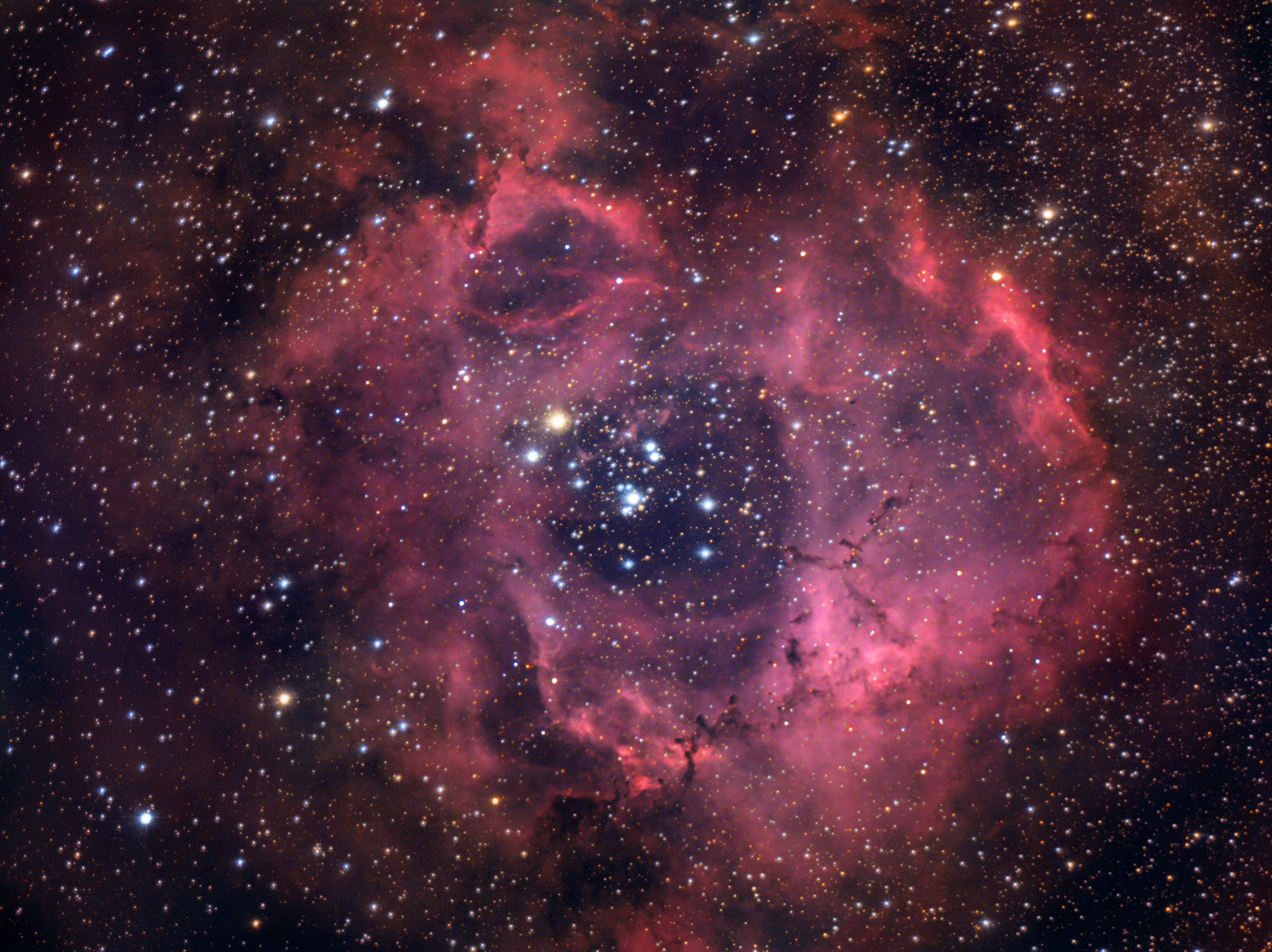 The Rosette Nebula Caldwell 49 50