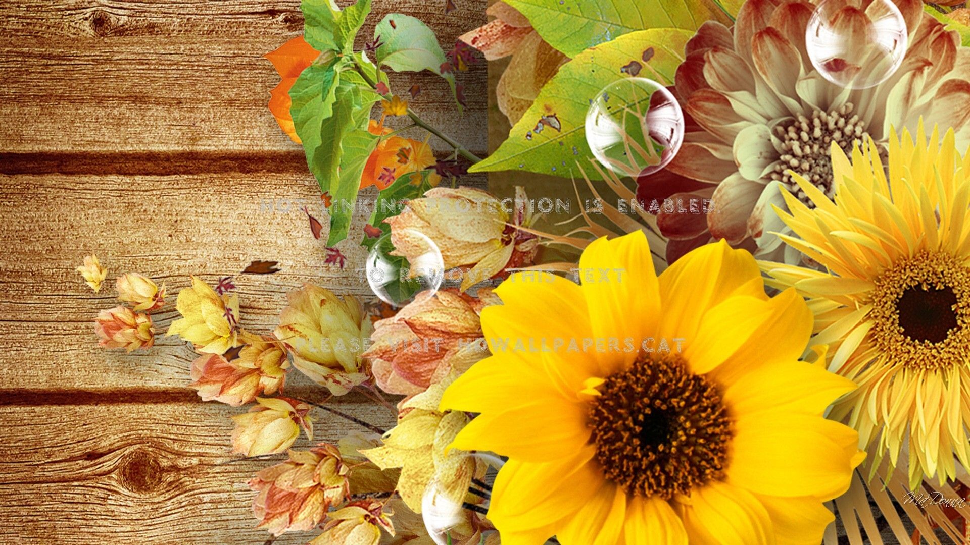 fall boards pods bubbles sunflowers wood