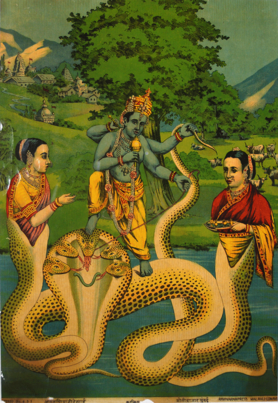Индийский про змей. Васуки Шеша. Шива раджас. Васуки змей Шивы. Кобра в индуизме.