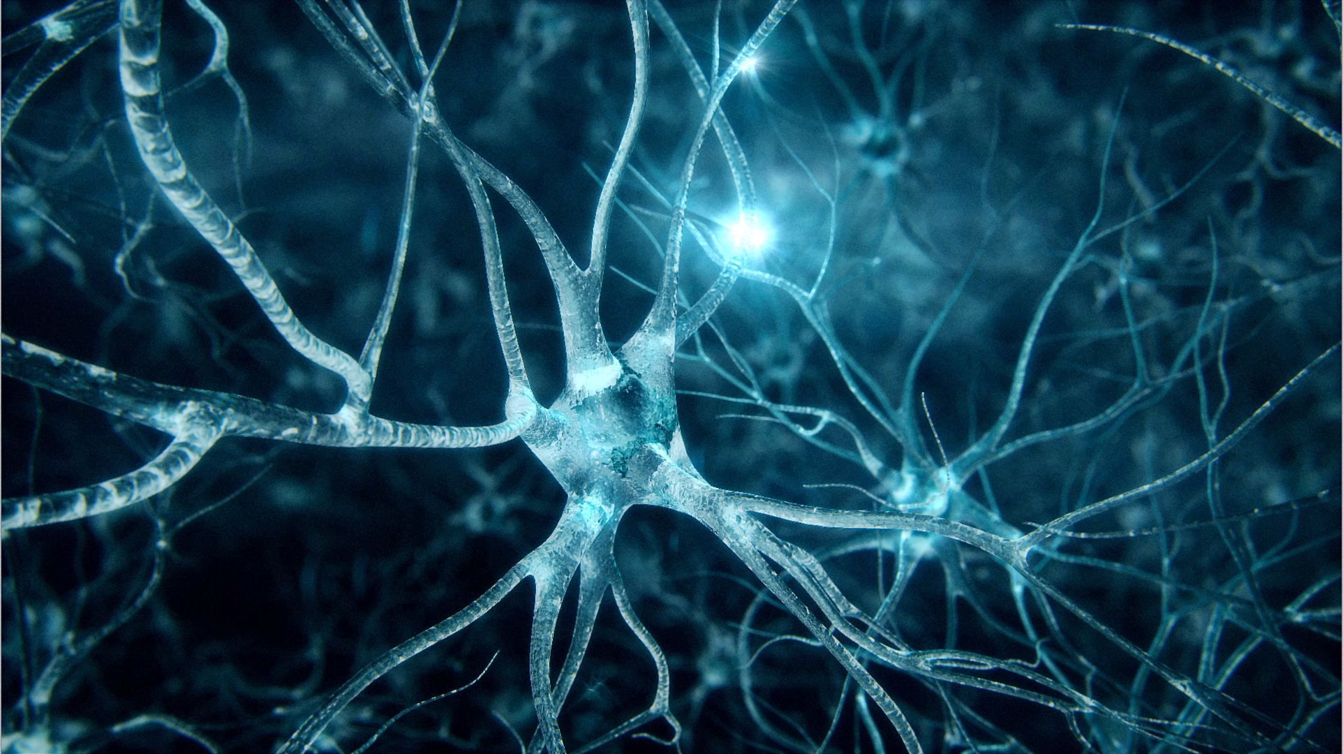 HD Neuroscience 4k Wallpaper