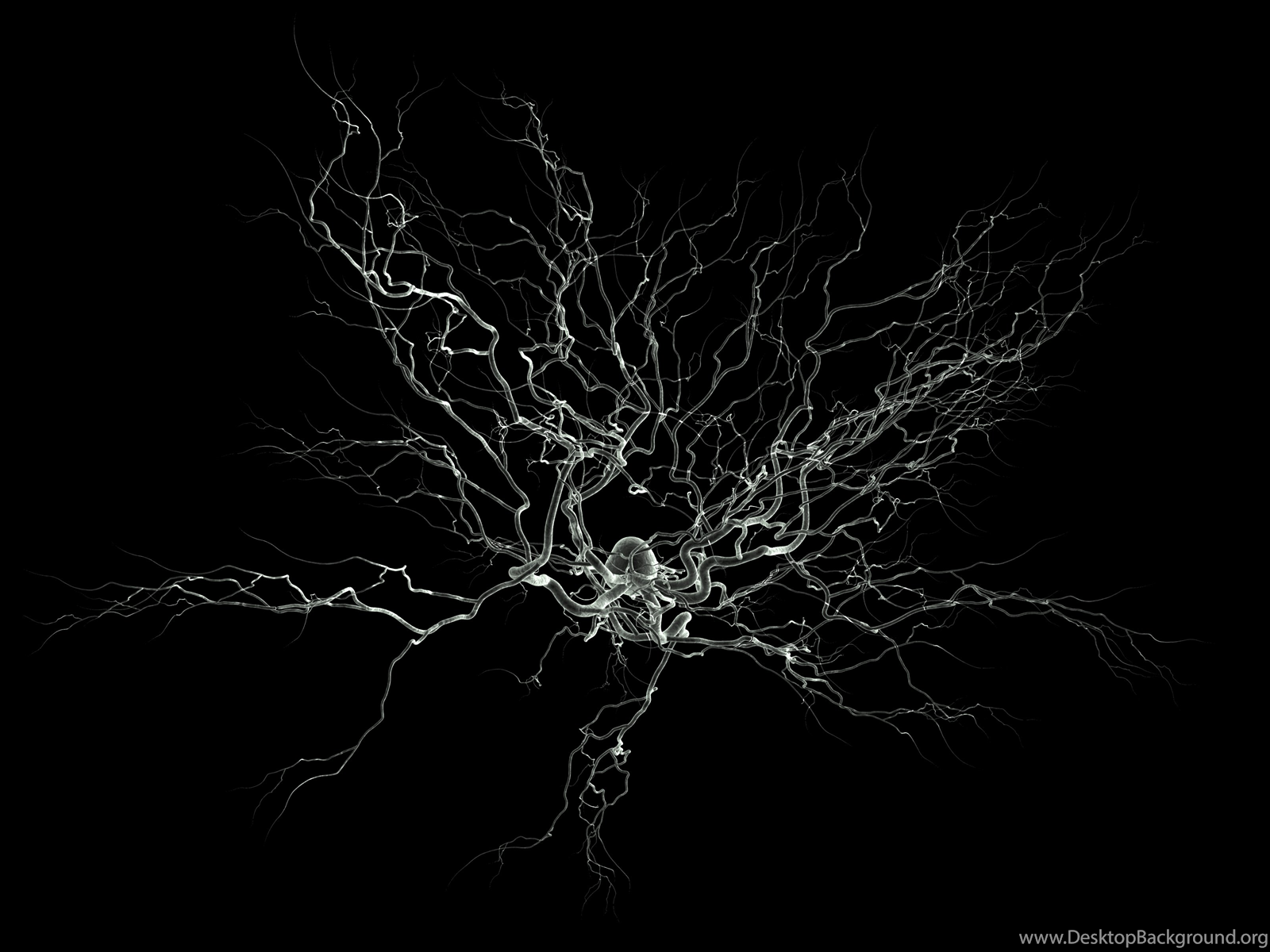 Neuroscience Wallpaper Desktop Background