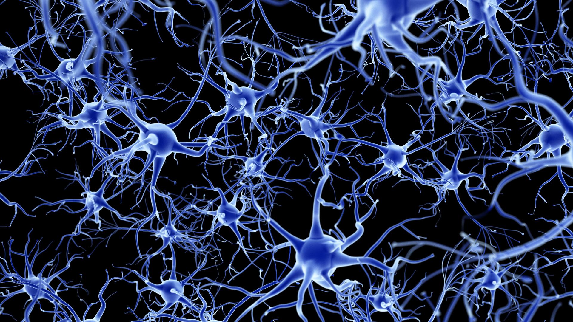 Neuroscience Wallpaper