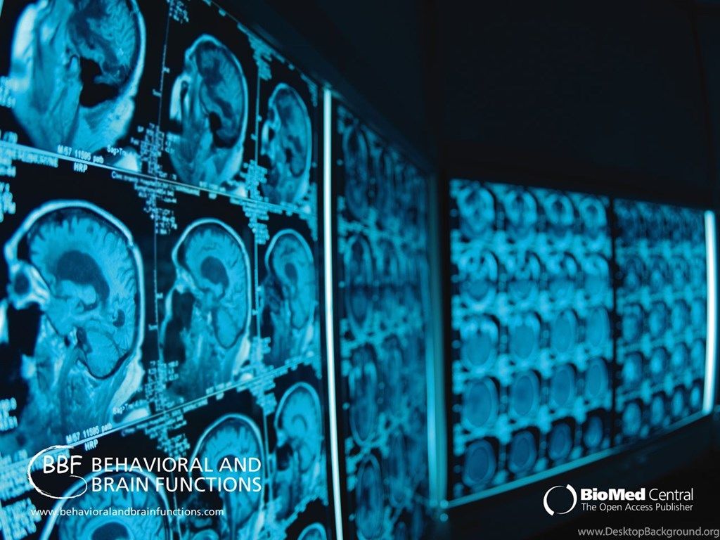 Fonds D'écran Neuroscience, Tous Les Wallpaper Neuroscience