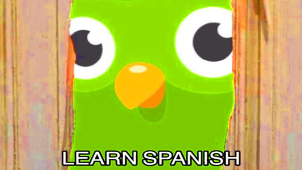Duolingo Memes Proving That Creep Of An Owl Is Out To Get You