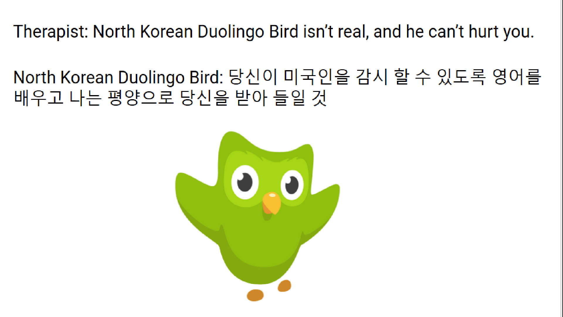 North Korean Duolingo Bird
