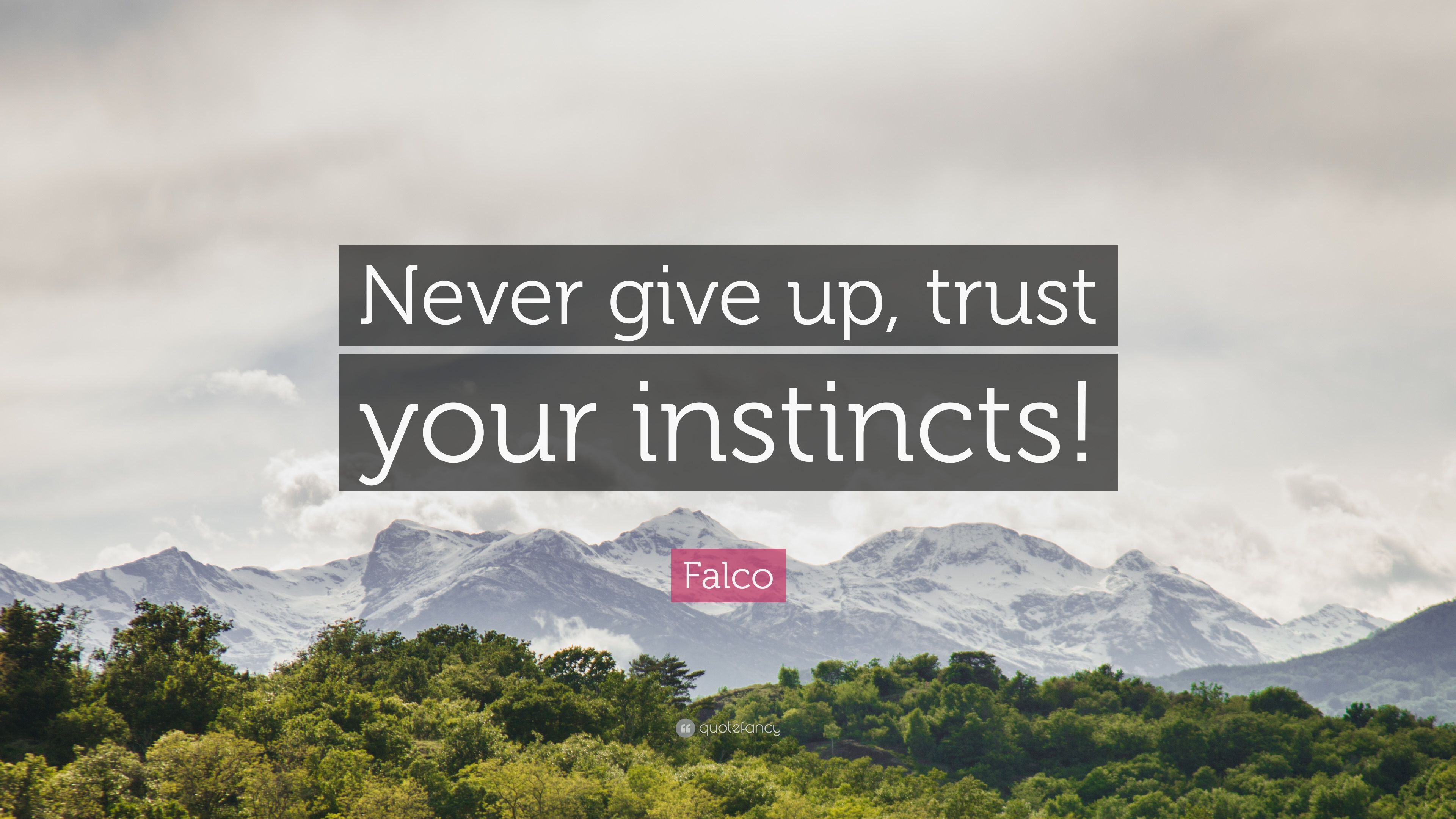 Falco Quote: “Never give up, trust your instincts!” 7 wallpaper