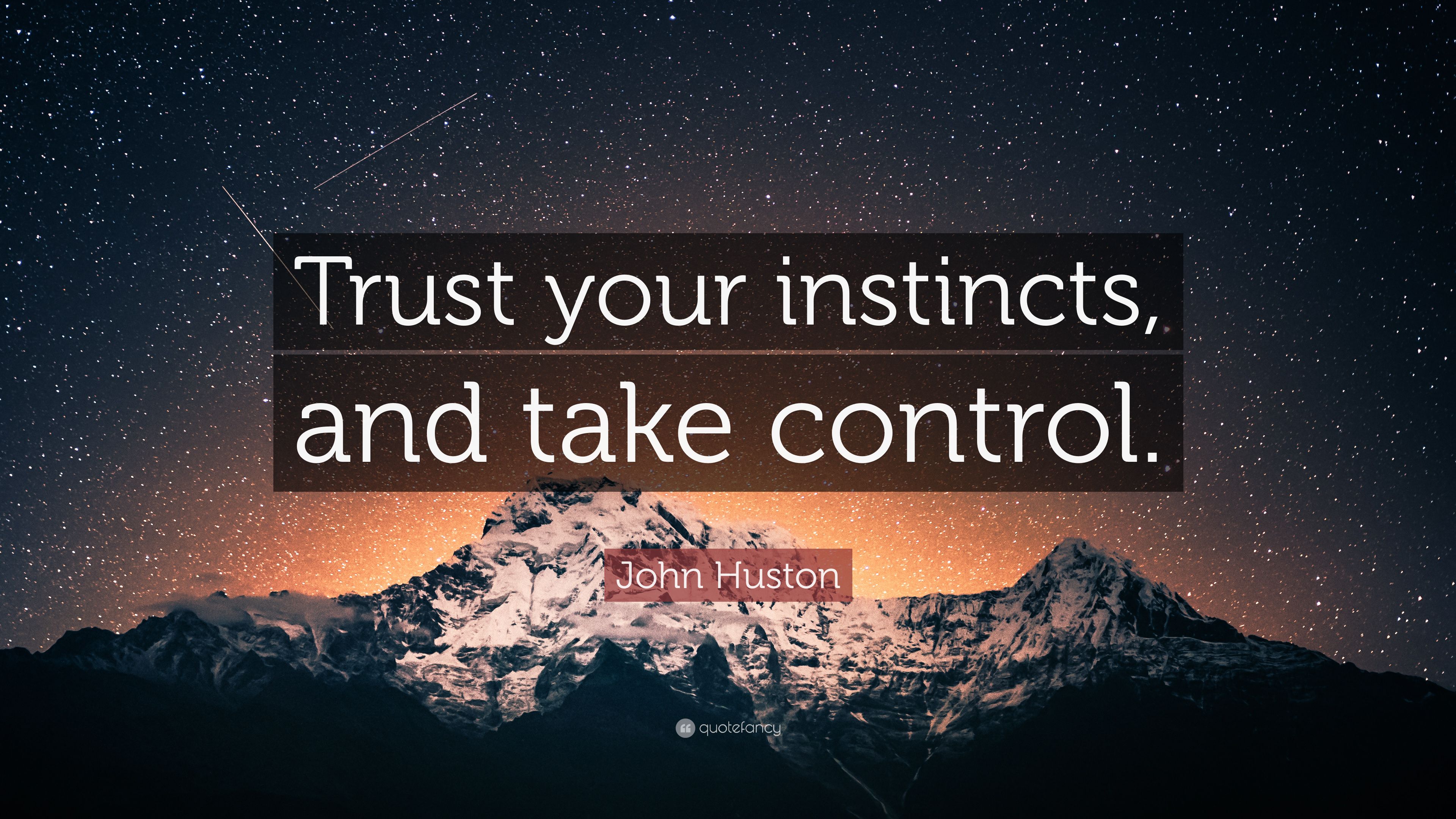John Huston Quote: “Trust your instincts, and take control.” 9