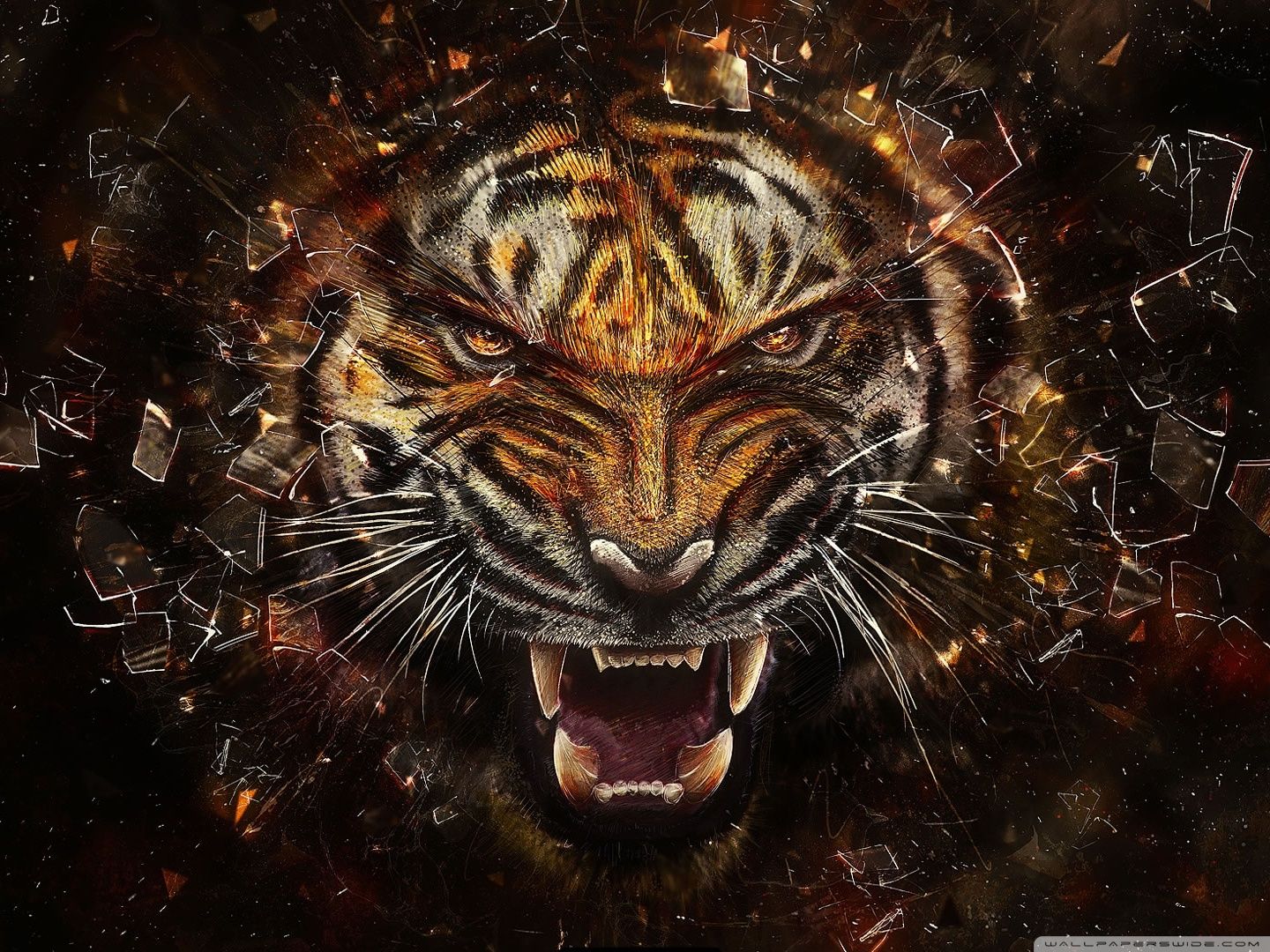 Tiger Background Ultra HD Desktop Background Wallpaper for 4K UHD