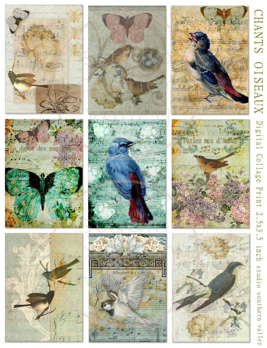 CHANTS OISEAUX Bird Collage 2.5x3.5 inch ATC Background. Bird art, Big art, Collage background