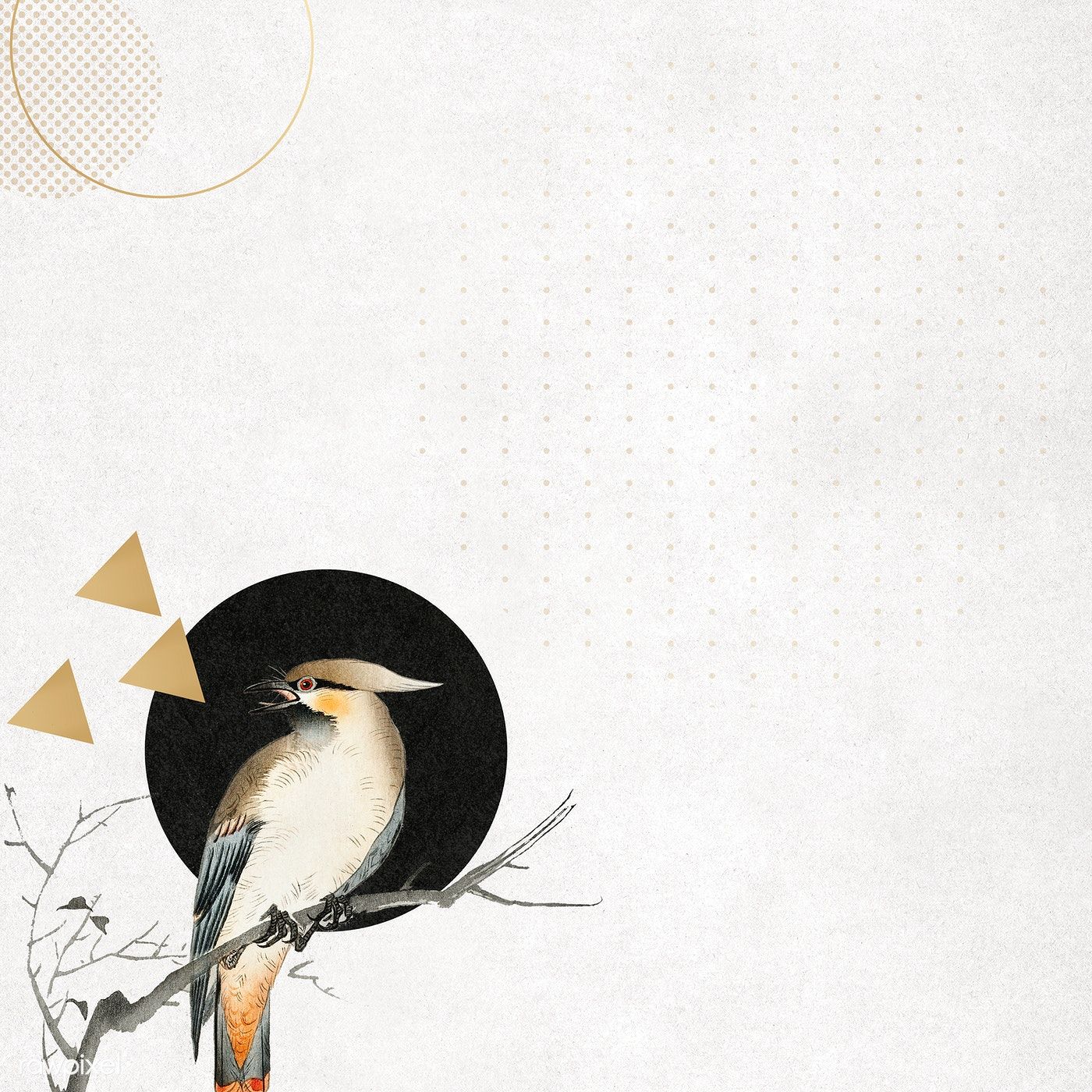 Vintage bird collage background. Royalty free stock illustration