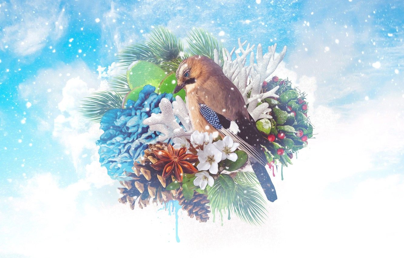 Wallpaper winter, collage, bird image for desktop, section арт