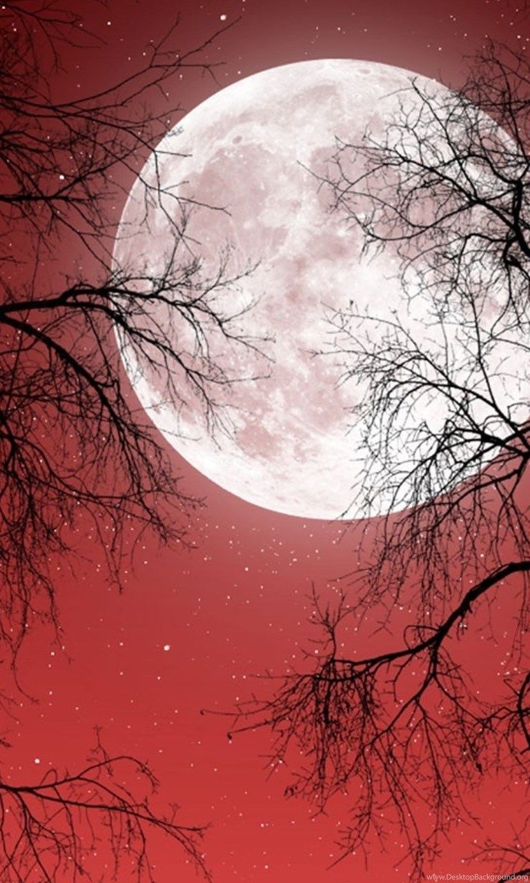 Full Moon Red Sky Dark Trees Galaxy S4 Wallpaper