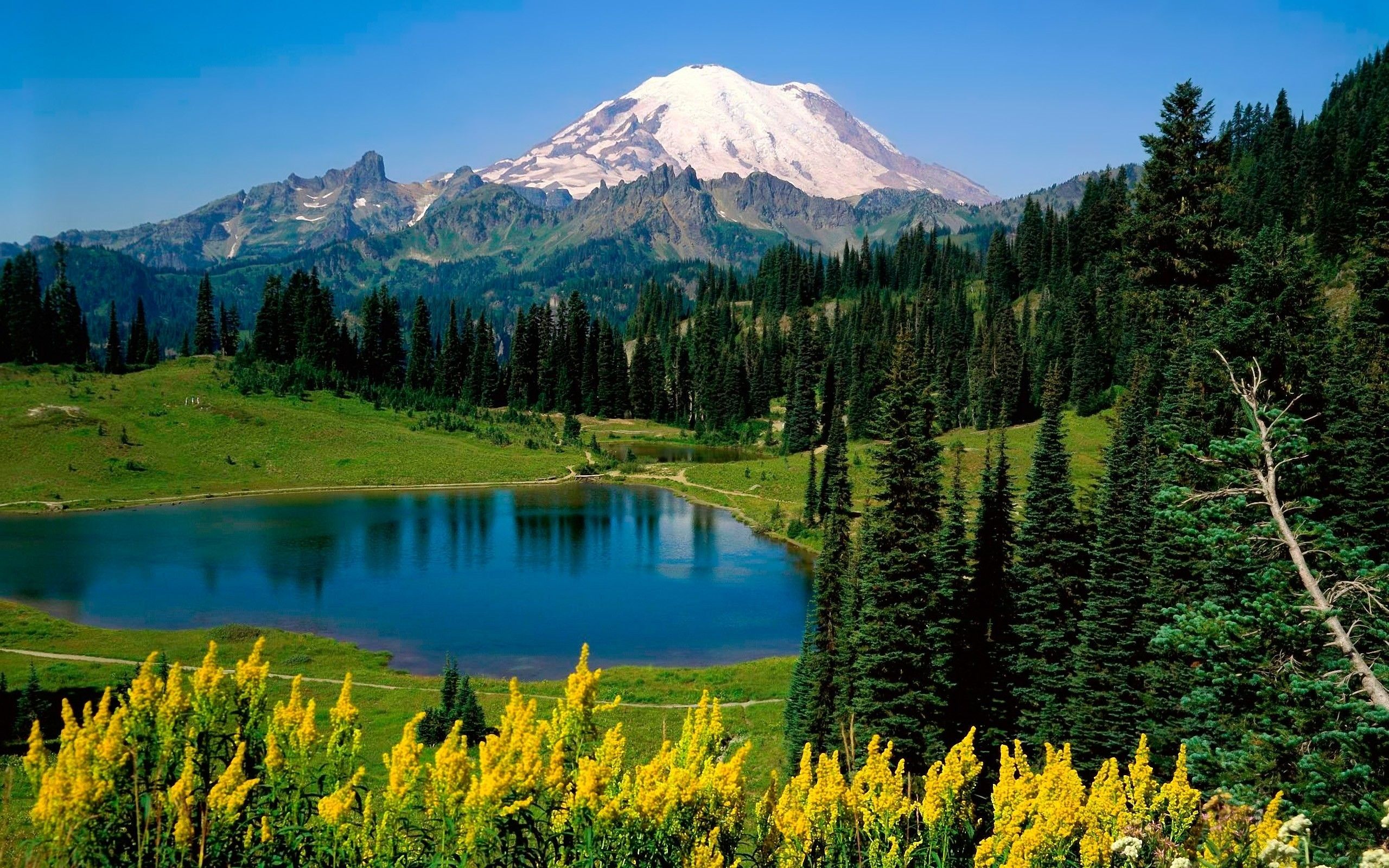 Mount Rainier Washington State wallpaper. Mount Rainier