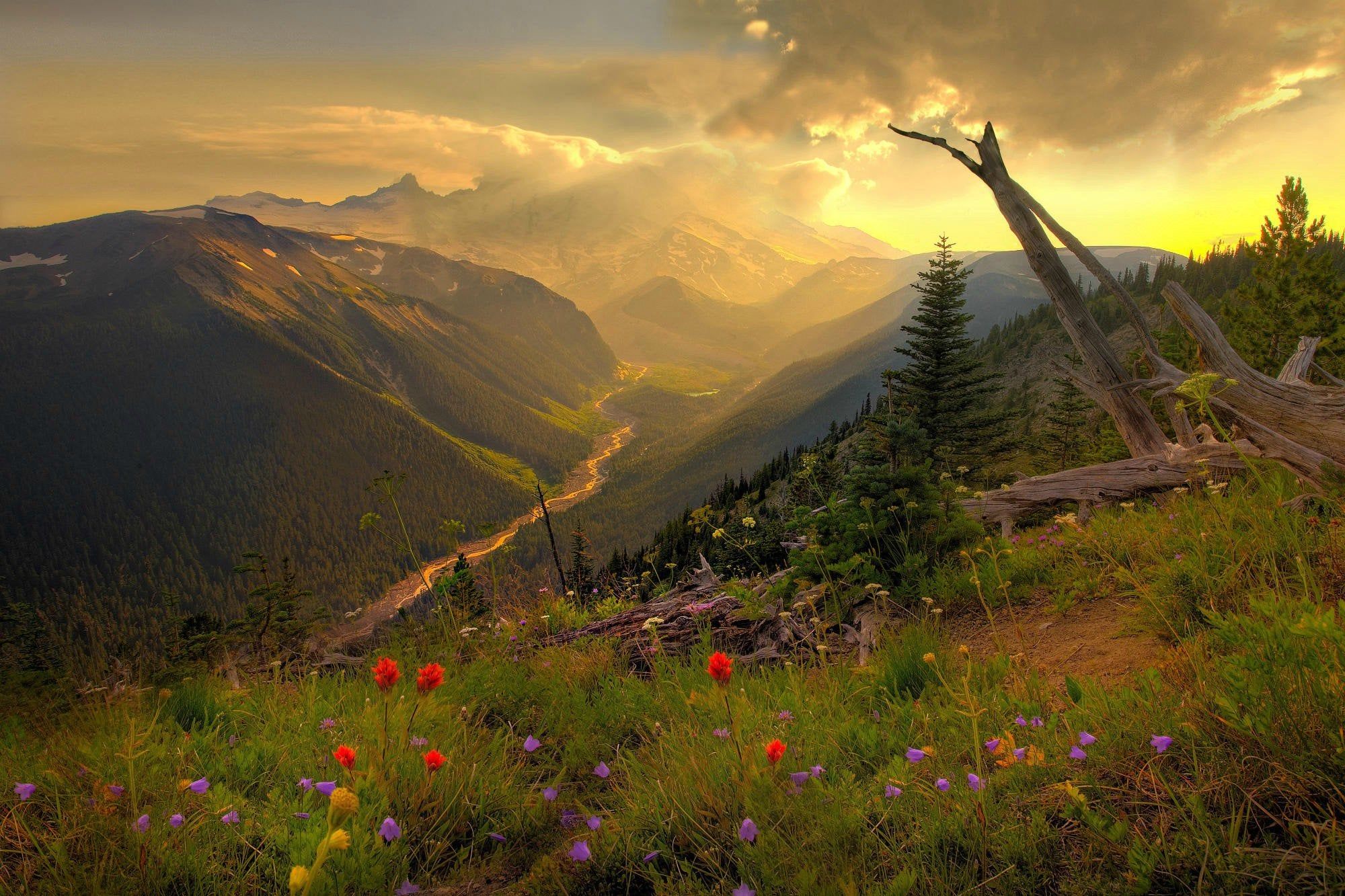 Mount Rainier, Washington