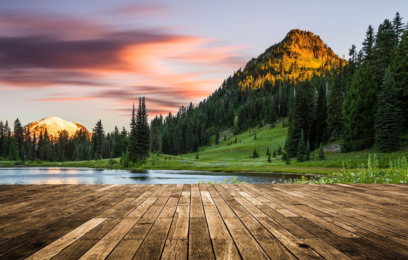 Wallpaper USA, forest, sky, trees, landscape, nature, sunset