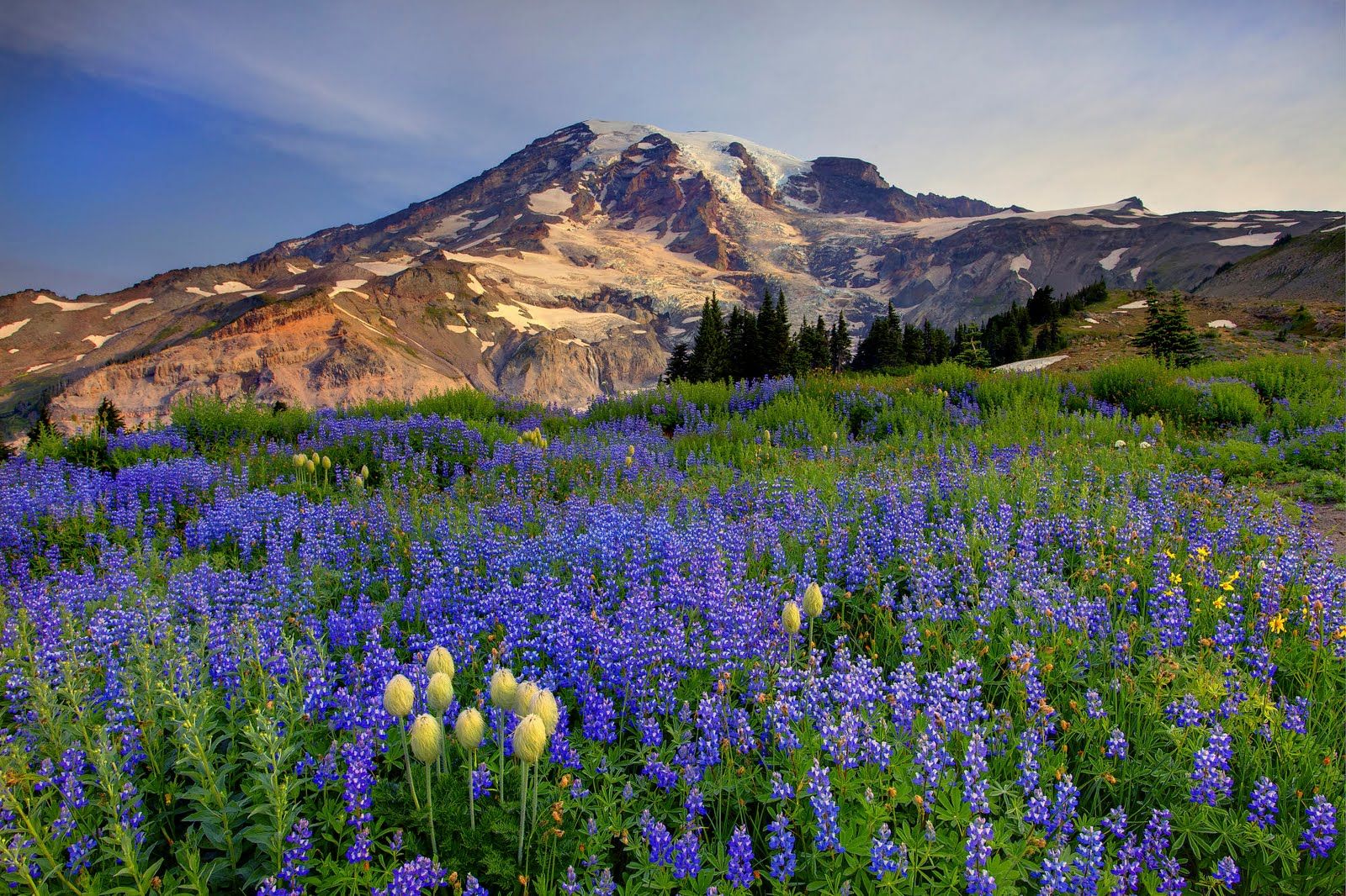 Free Desktop Wallpaper: Mount Rainier, Washington
