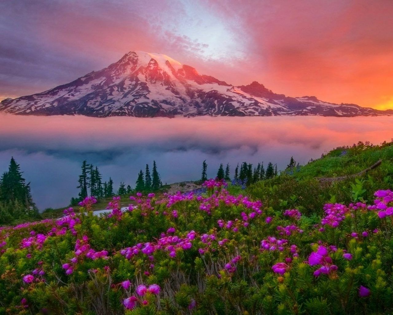 Mount Rainier Washington Wallpapers - Wallpaper Cave