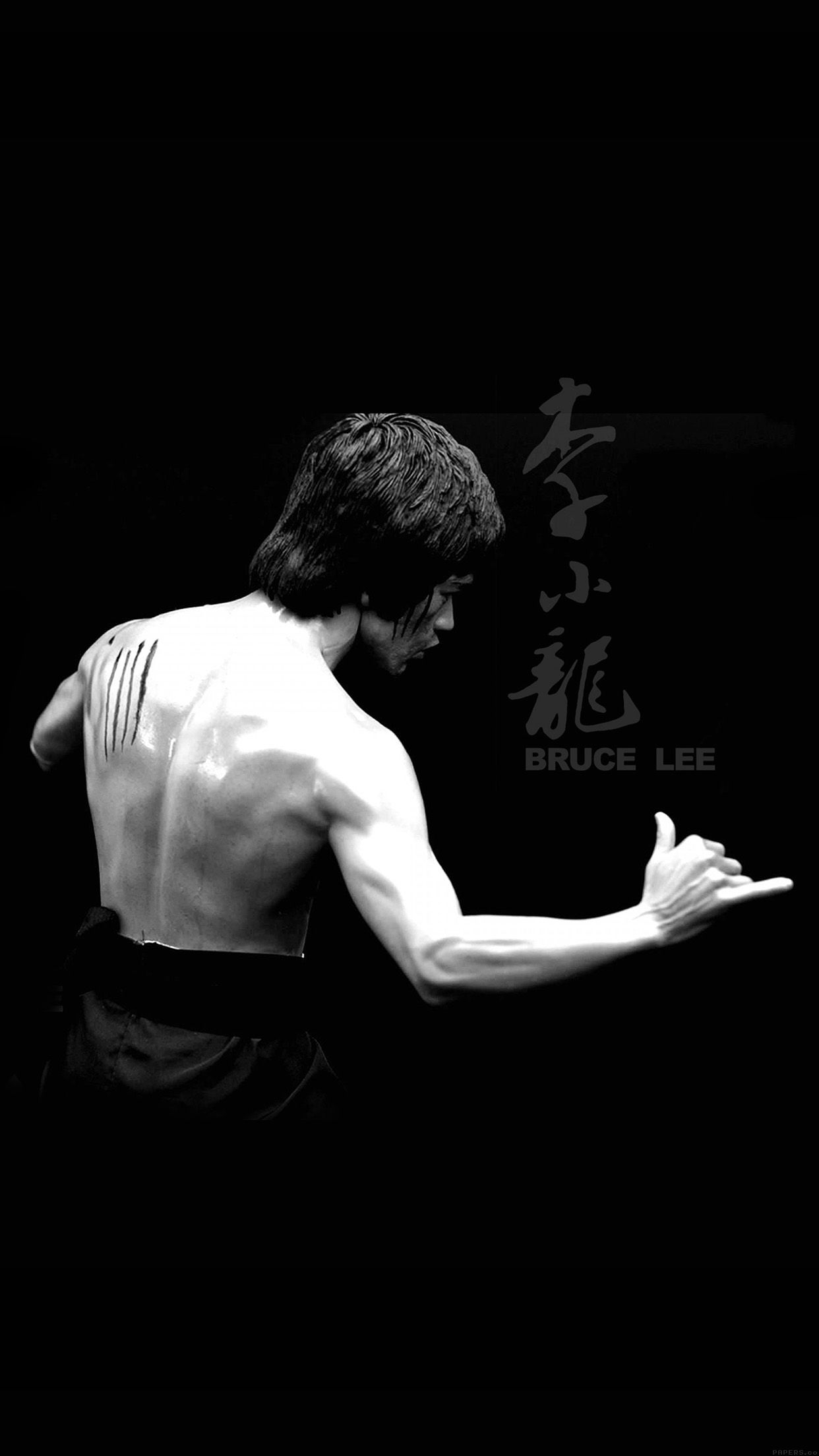 Bruce Lee Sports Actor Celebrity Dark