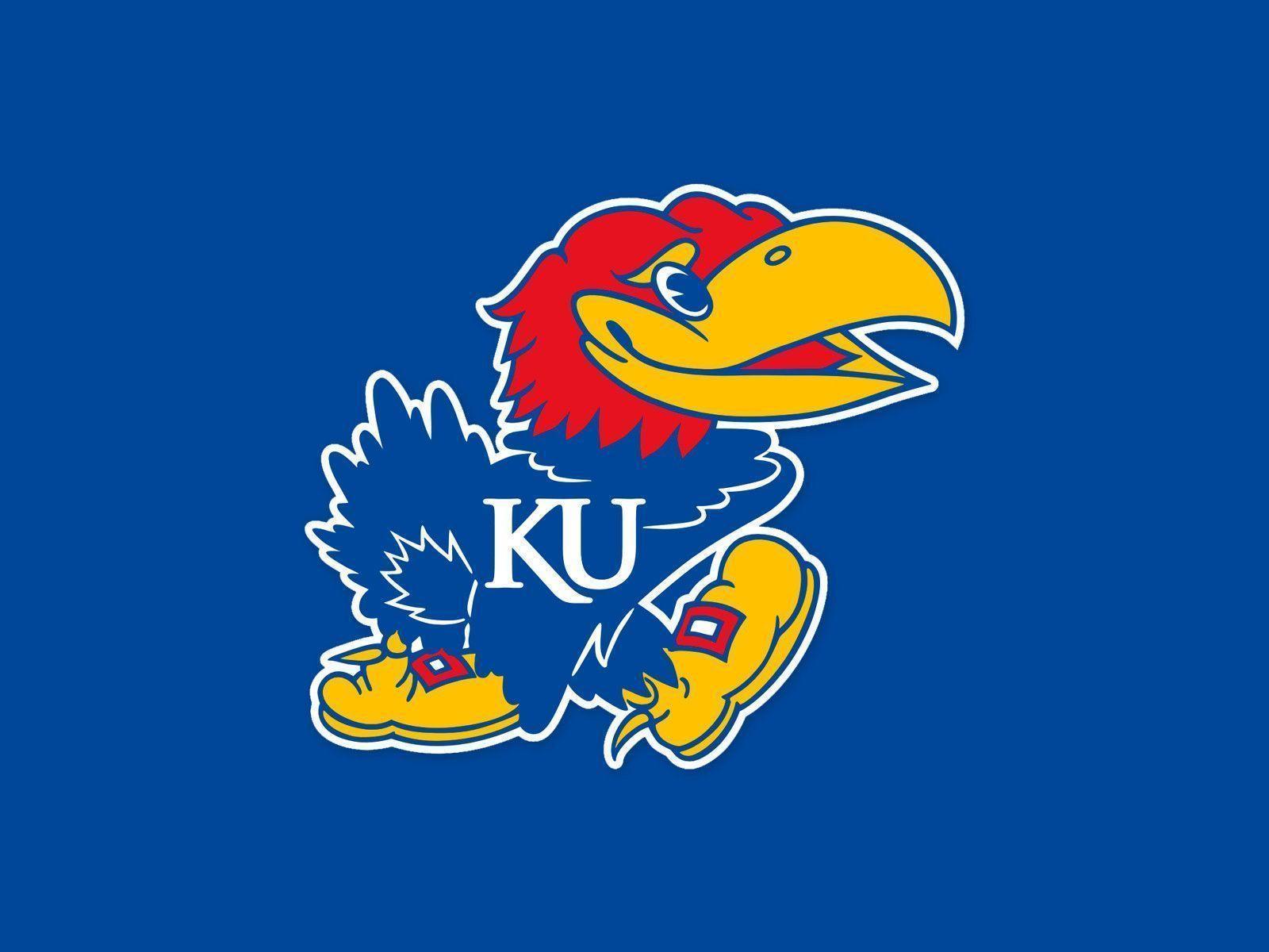 University of Kansas Desktop Wallpaper Free University