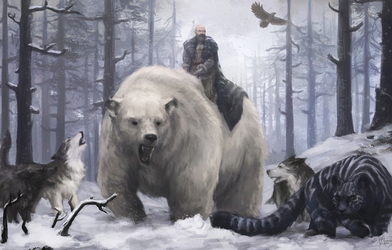 Wallpaper Stalker, bear, blizzard, nothing, snow, eagle, north