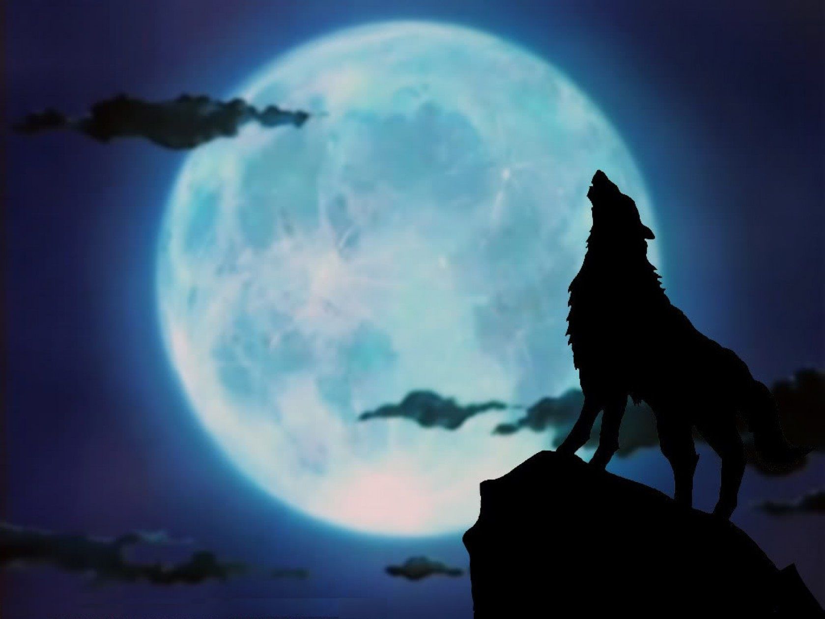 A picture of a wolf howling wallpaper