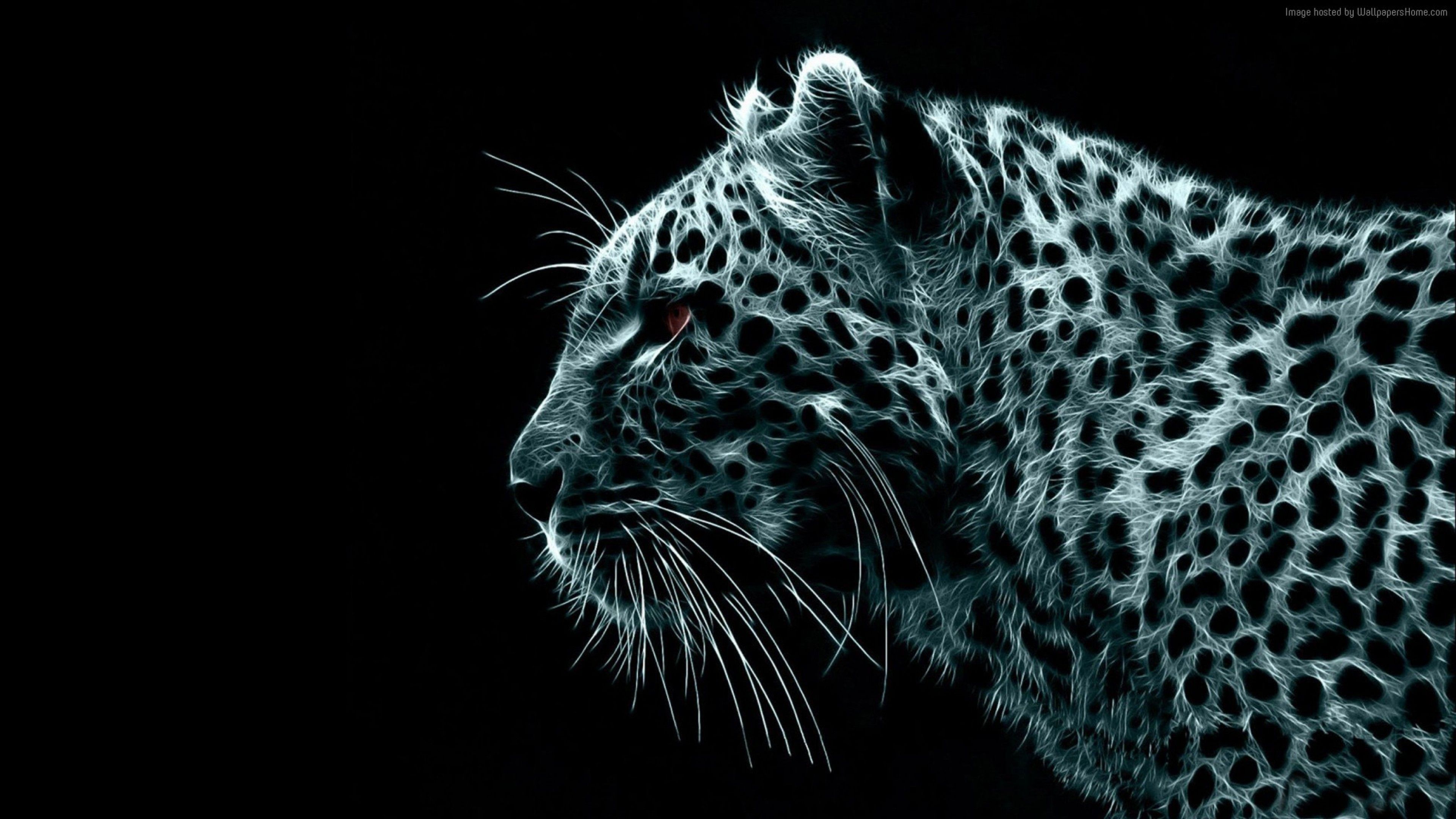 Download Free HD Snow Leopard Wallpaper 4K Ultra HD Wallpaper