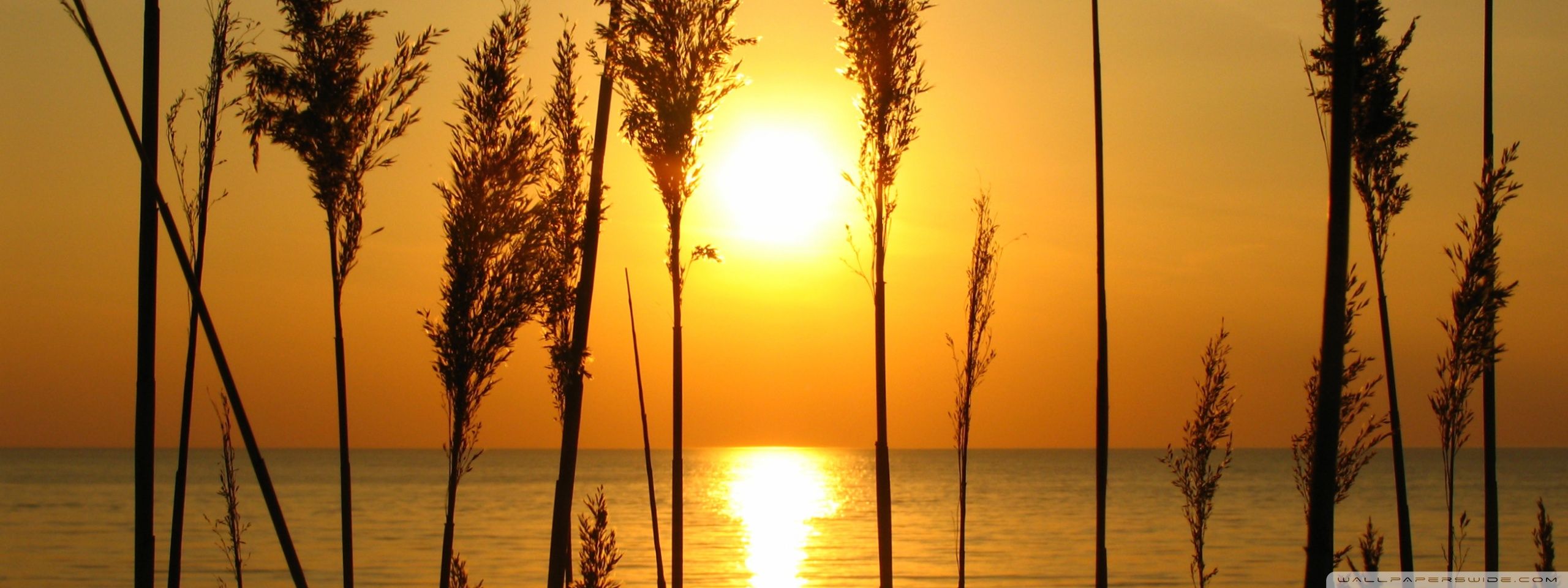 A Perfect Sunset Ultra HD Desktop Background Wallpaper for 4K UHD