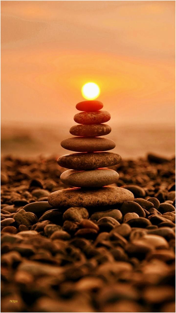 Safari Wallpaper Awesome Sunset Wallpaper Best Solo