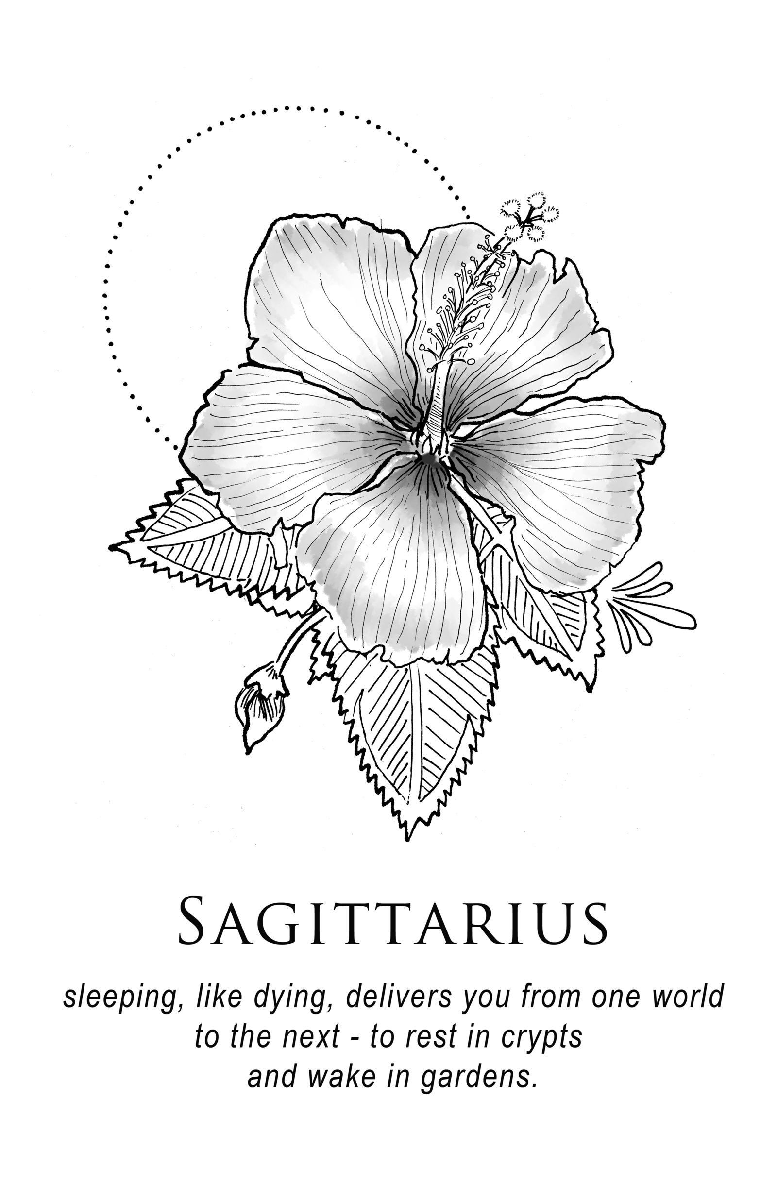 Sagittarius- Archer, sagittarius, zodiac, HD phone wallpaper | Peakpx
