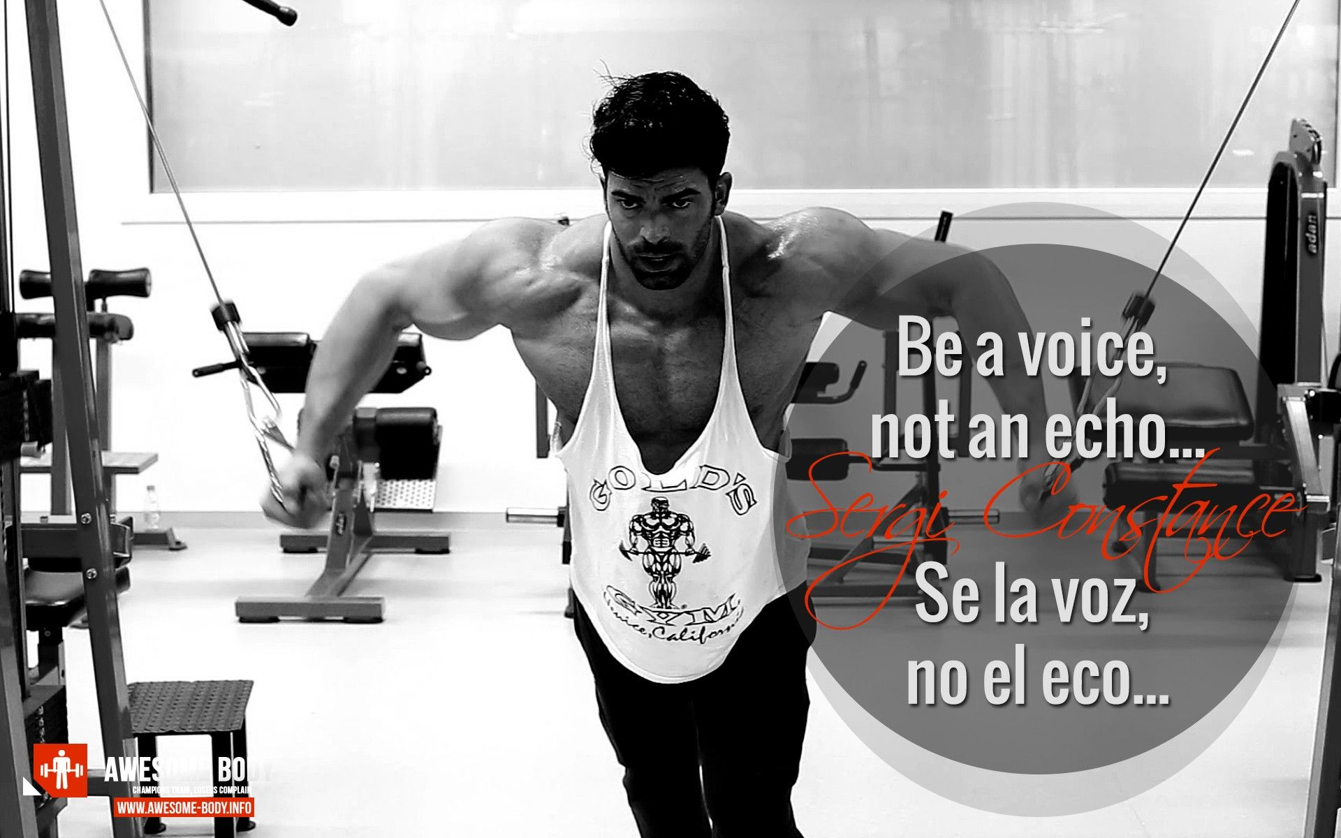 Free download Sergi Constance Wallpaper Poster Se la voz no el