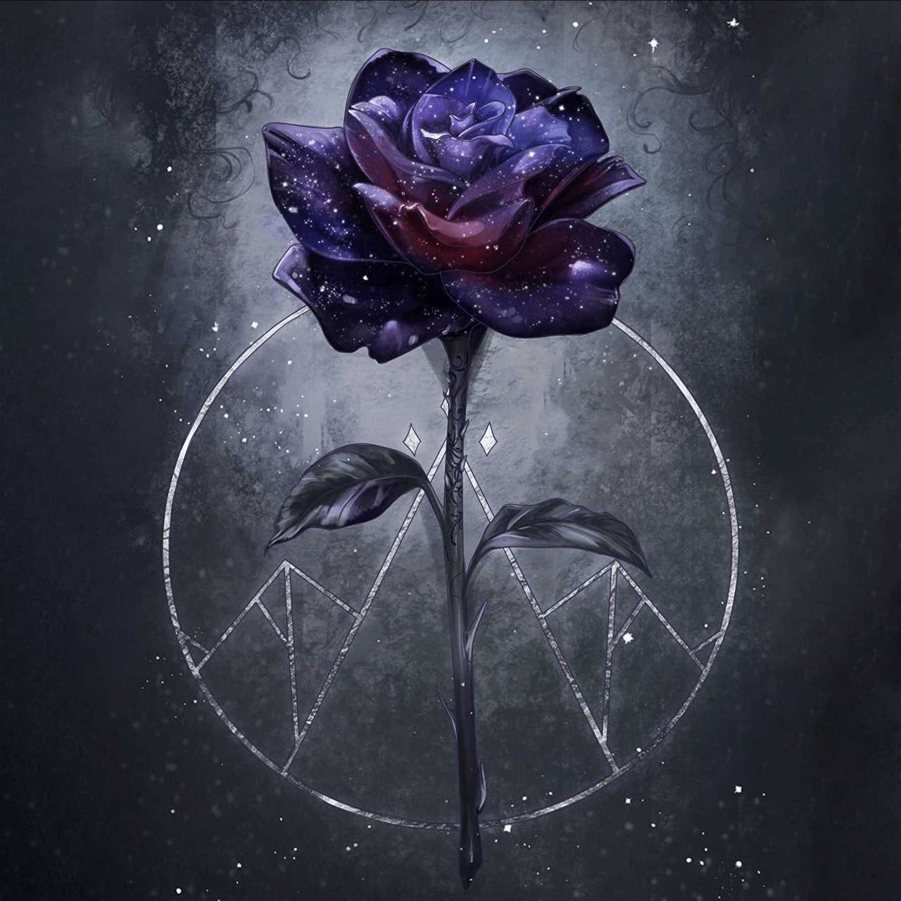 Dark Rose wallpaper