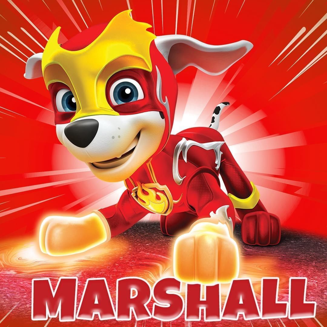 Paw Patrol Marshall Wallpapers Wallpaper Cave 