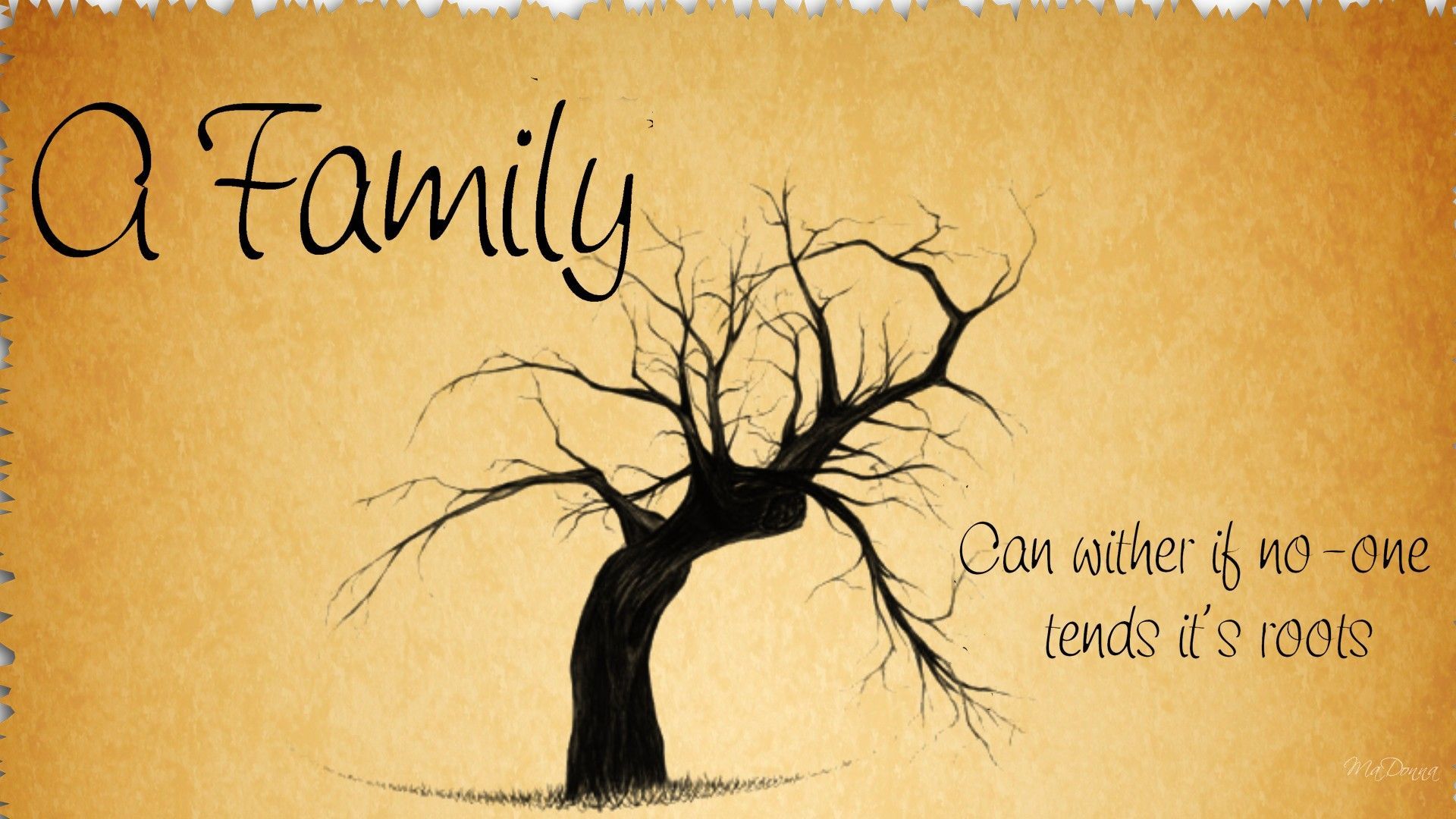 Tend to the Family roots. Family tree quotes, Family quotes funny