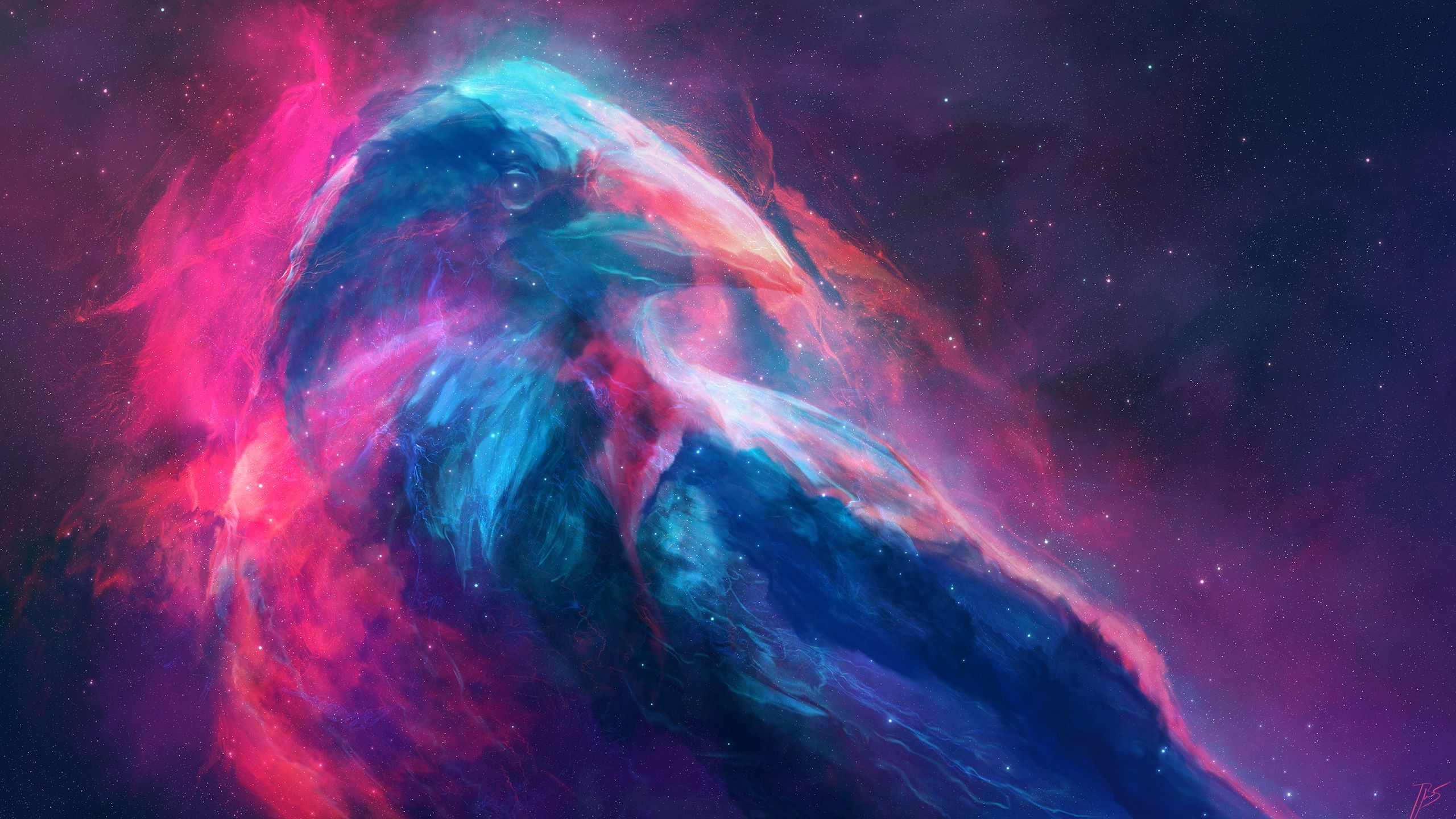 Animal #Artistic Space Bird Colors HD #Wallpaper #Background