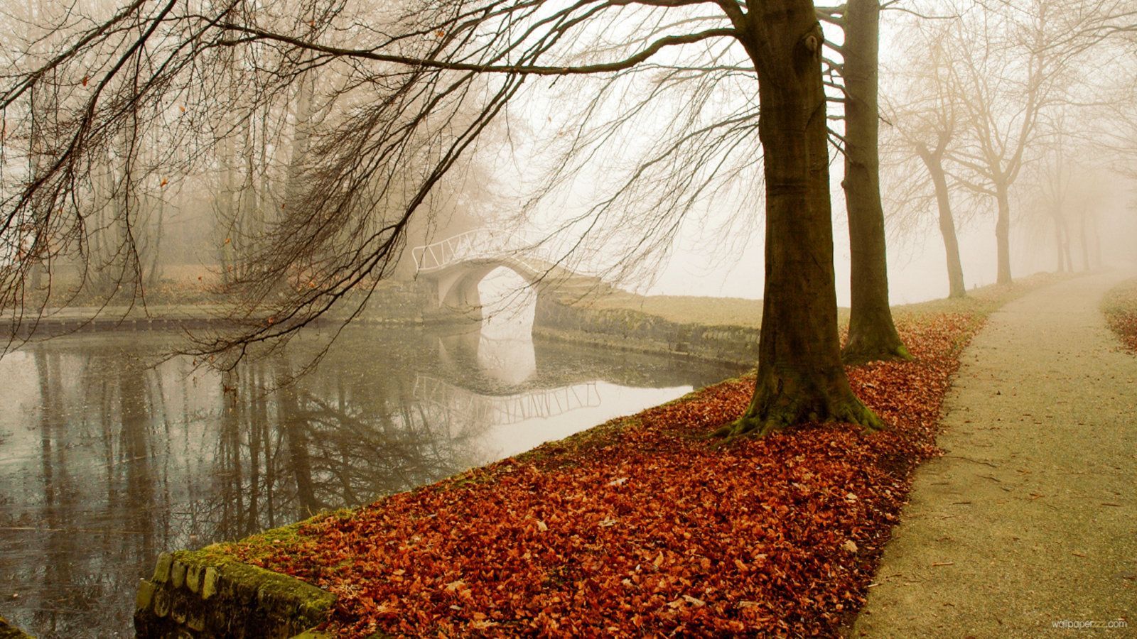 Download Cold Autumn Widescreen Wallpaper—Free Wallpaper. Nature photo, Autumn lake, Autumn park