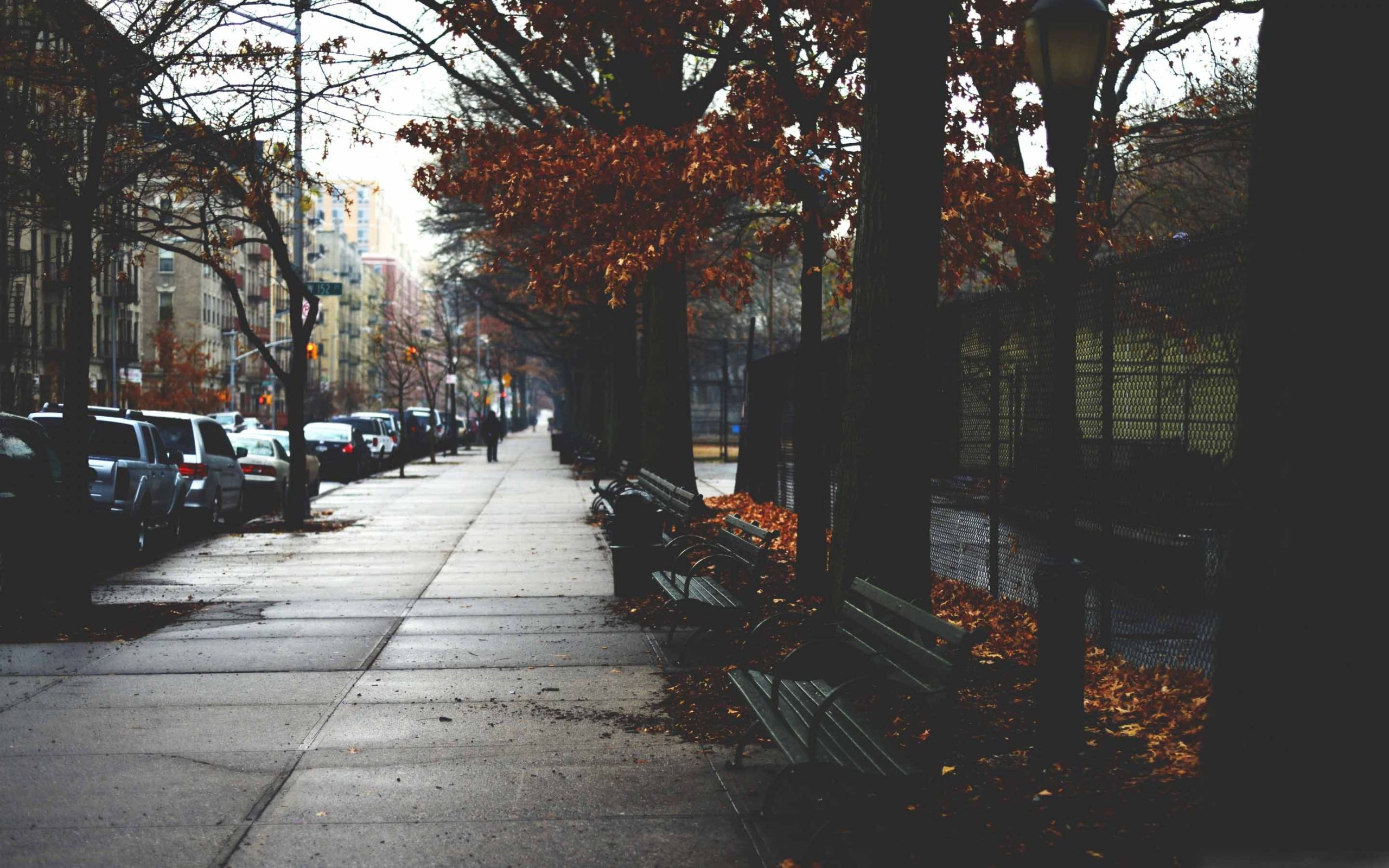 Cold Autumn Day In New York MacBook Air Wallpaper Download