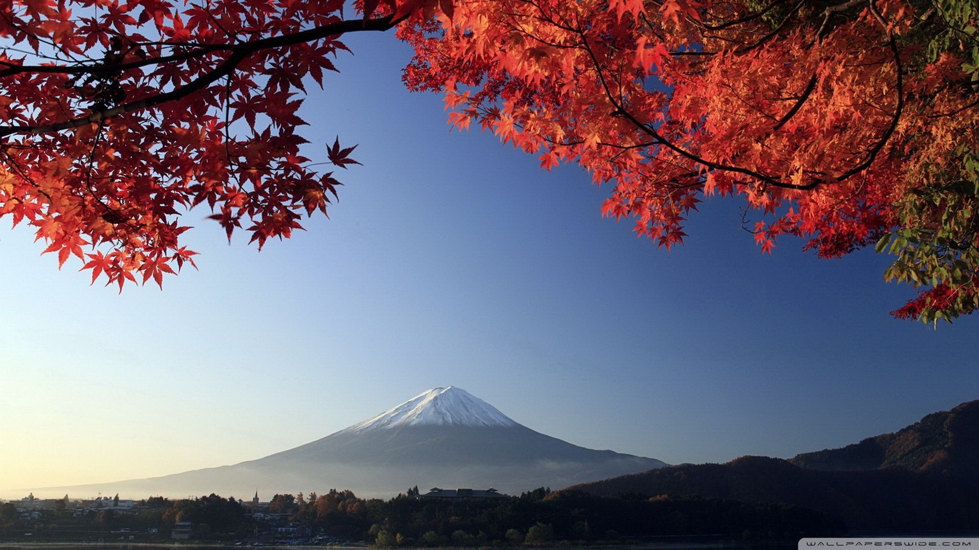 Autumn, Mount Fuji, Japan HD Desktop Wallpaper High Definition. Mount fuji, Mount fuji japan, Scenery