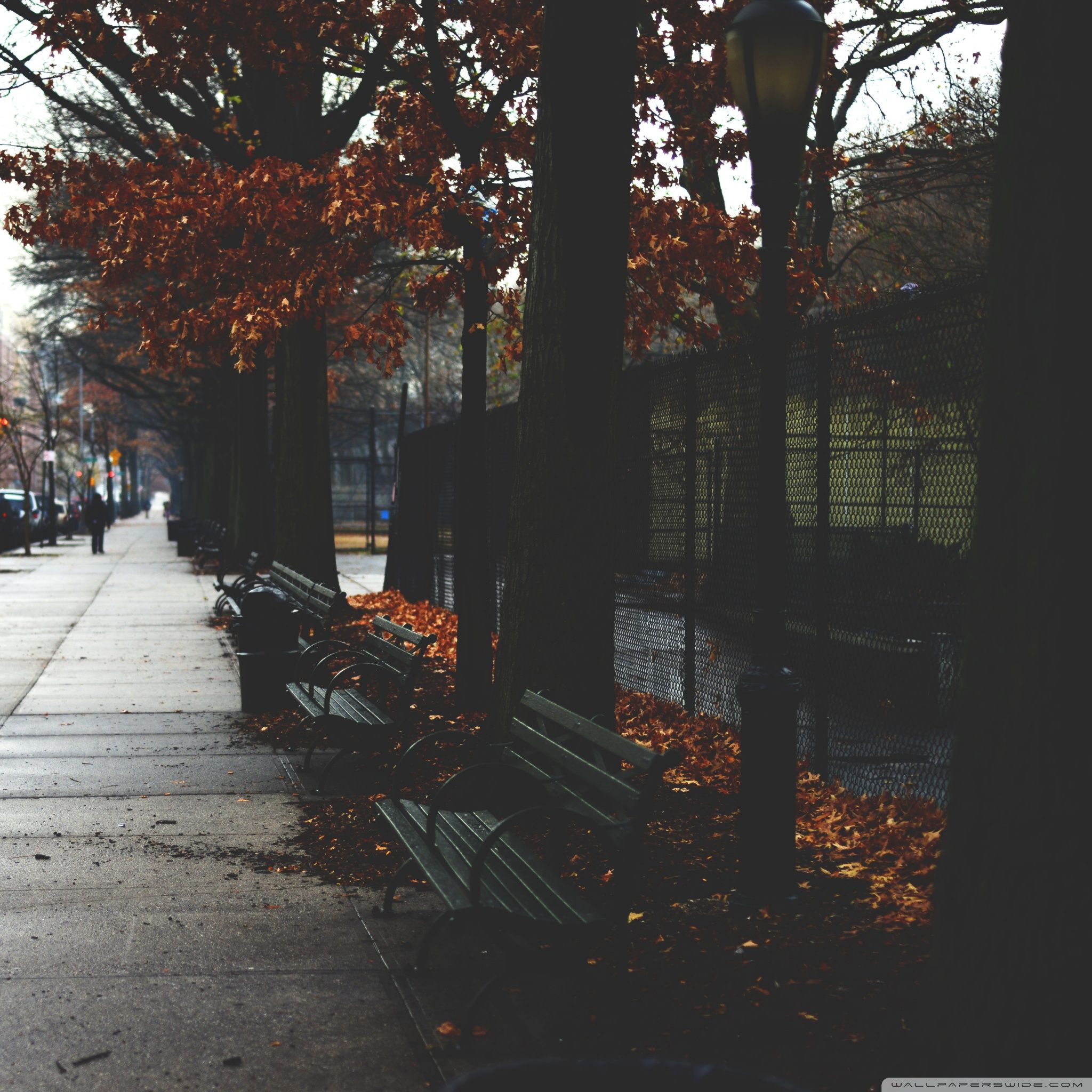 Cold Autumn Day In New York City Ultra HD Desktop Background