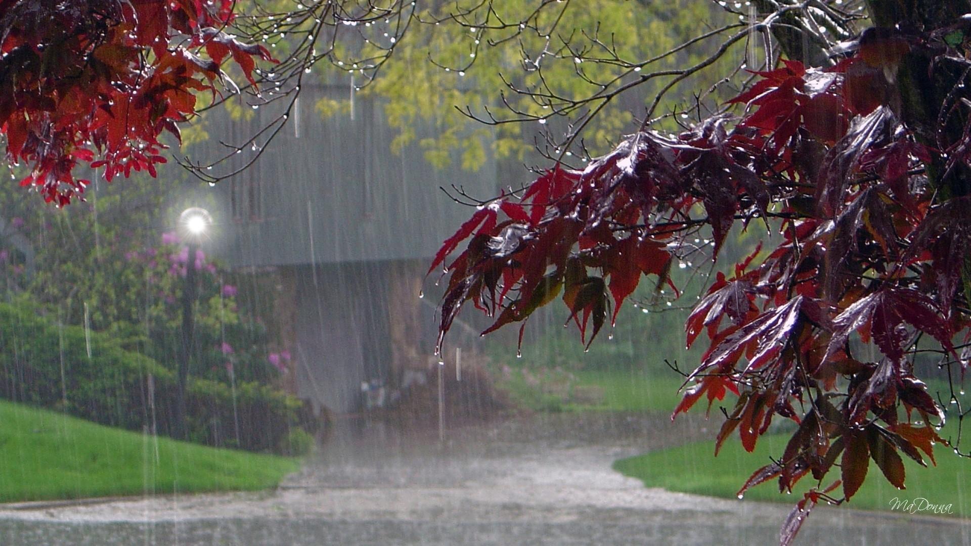 Autumn Rain Wallpaper Free Autumn Rain Background