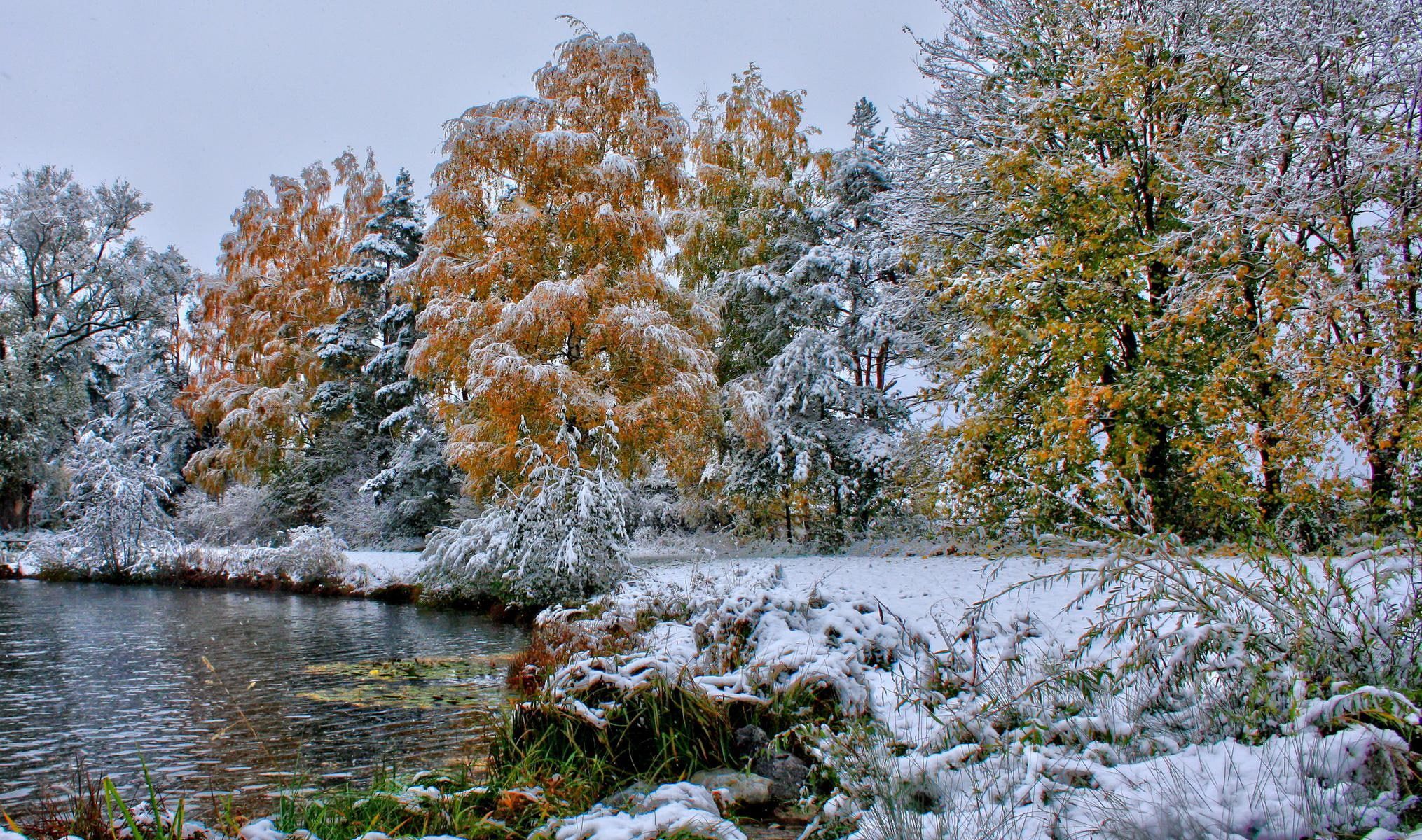 Nature Landscapes Trees Forests Autumn Fall Seasons Winter Snow