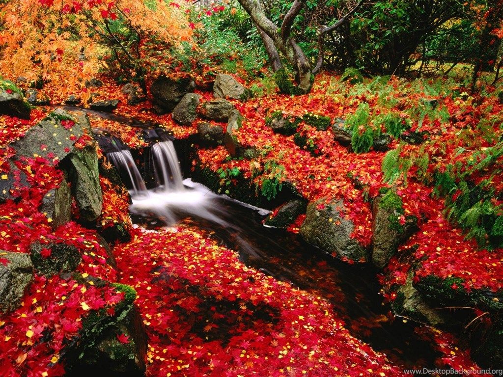 Download Desktop Wallpaper Autumn In The Japanese Garden Beacon. Desktop Background