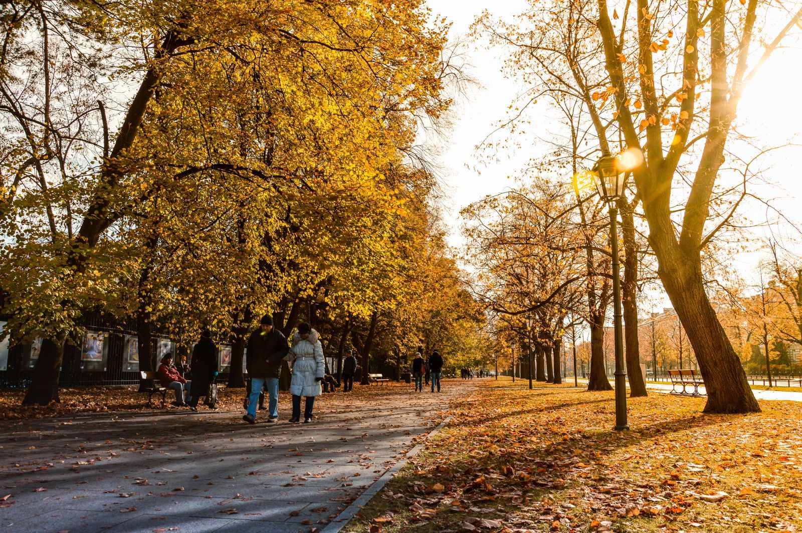 Nature Outdoors Trees People Road Scenic Leaves Cold Woods Autumn