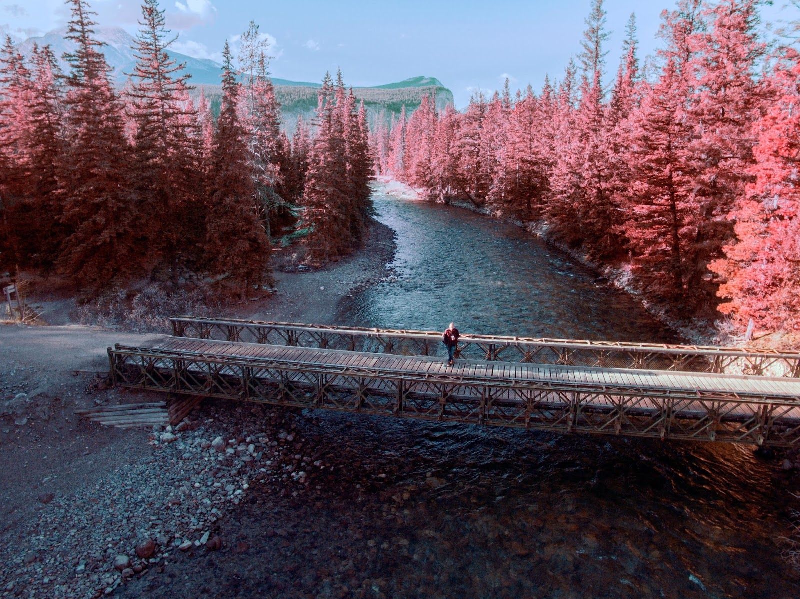 Autumn Woods, Bridge, River