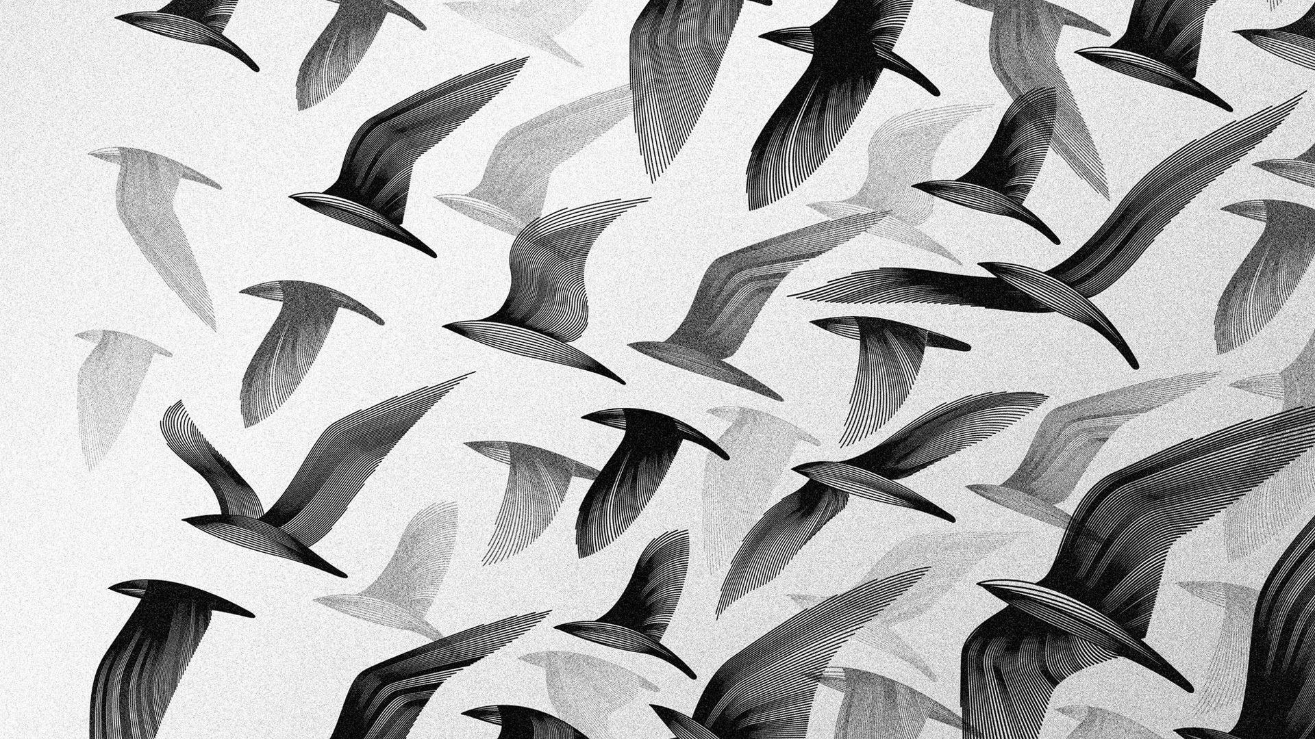 Free download Flock Of Birds Black And White 232 black and white
